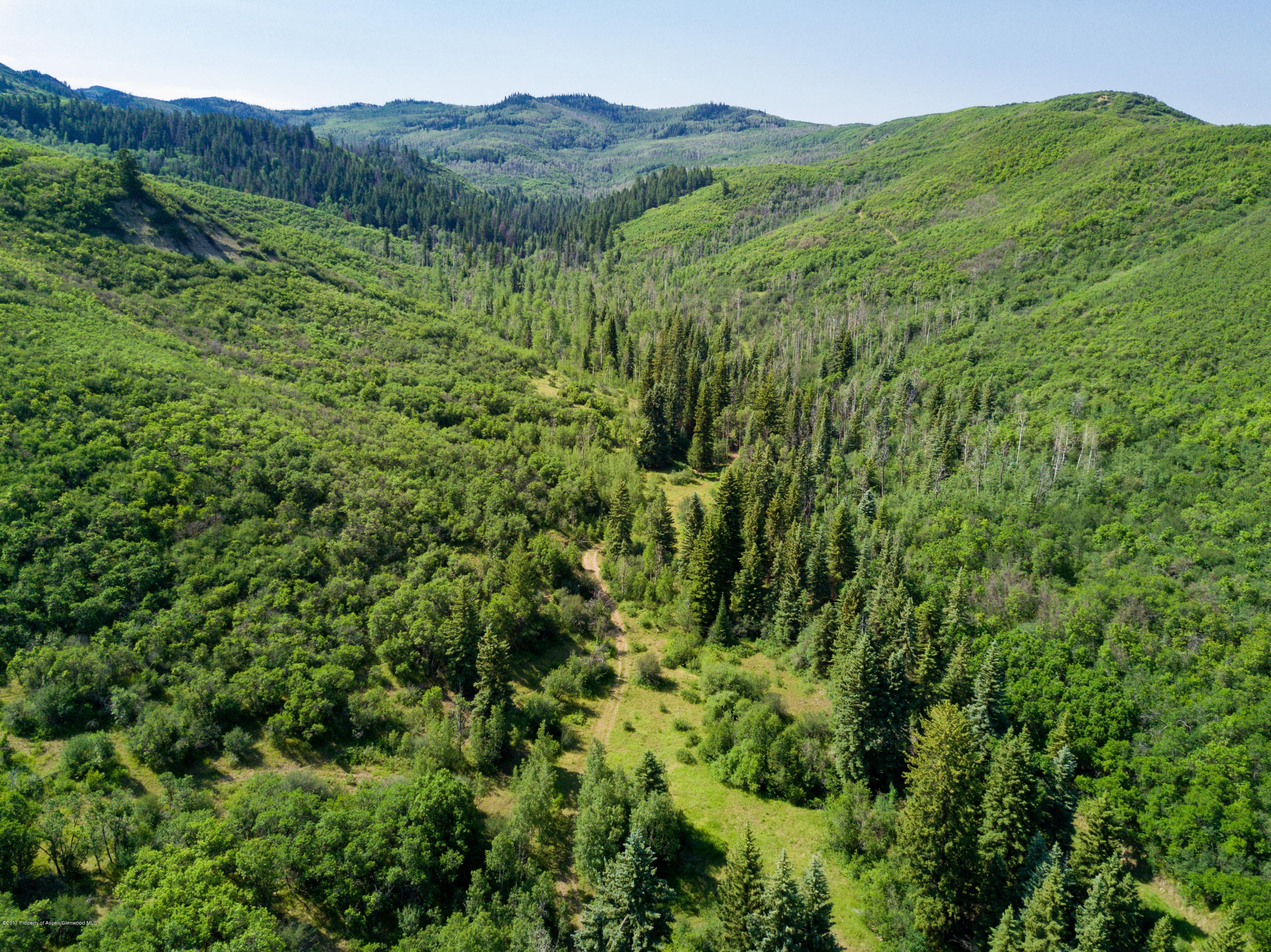 TBD County Road 312, New Castle, CO 81647 - Photo 9