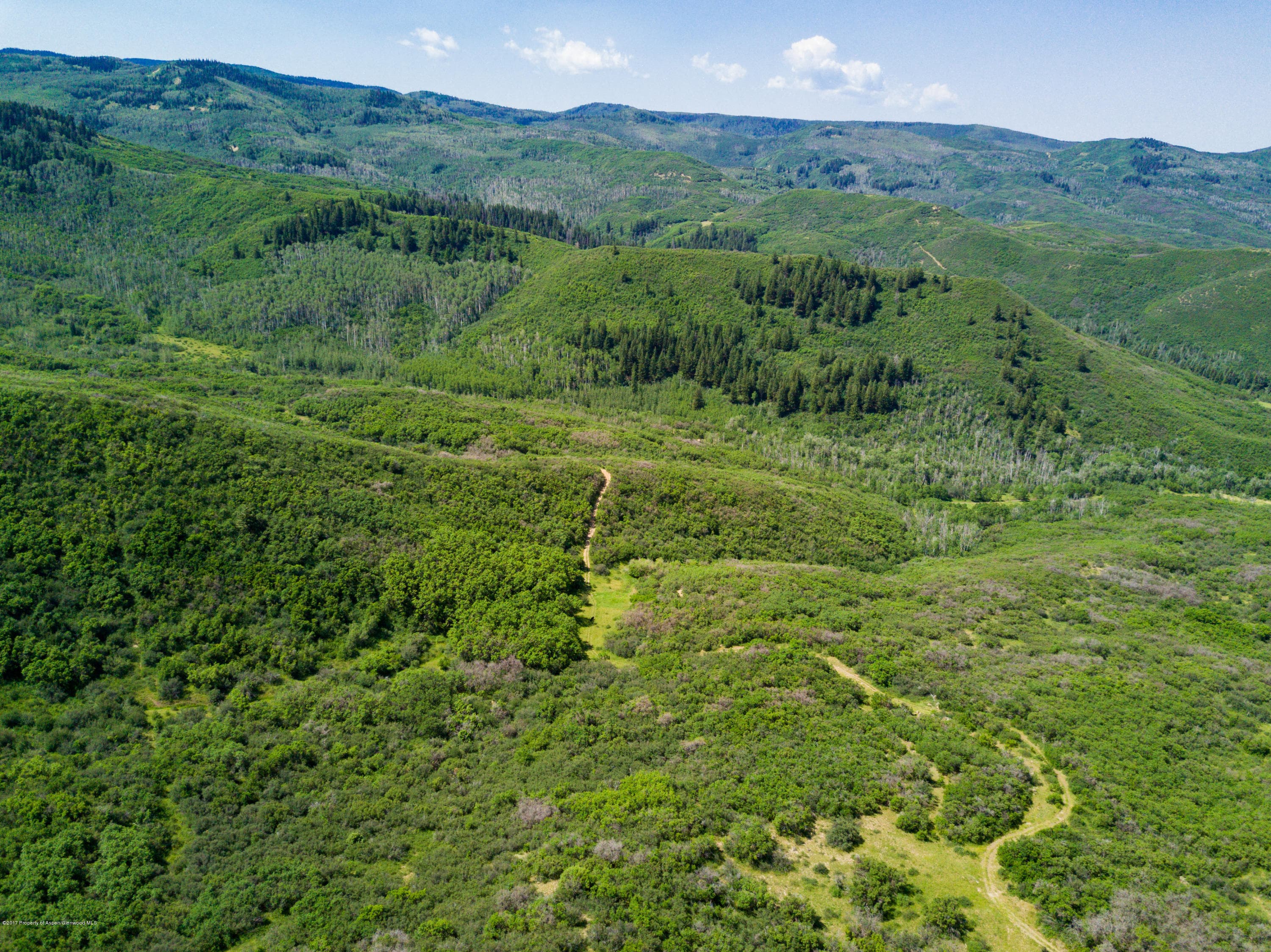 TBD County Road 312, New Castle, CO 81647 - Photo 12