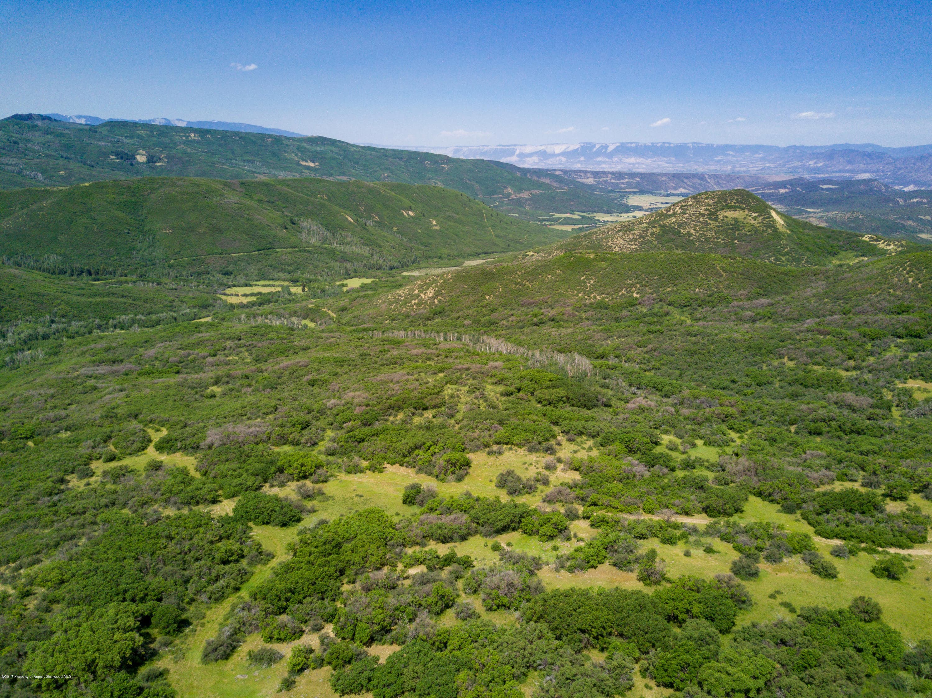 TBD County Road 312, New Castle, CO 81647 - Photo 13