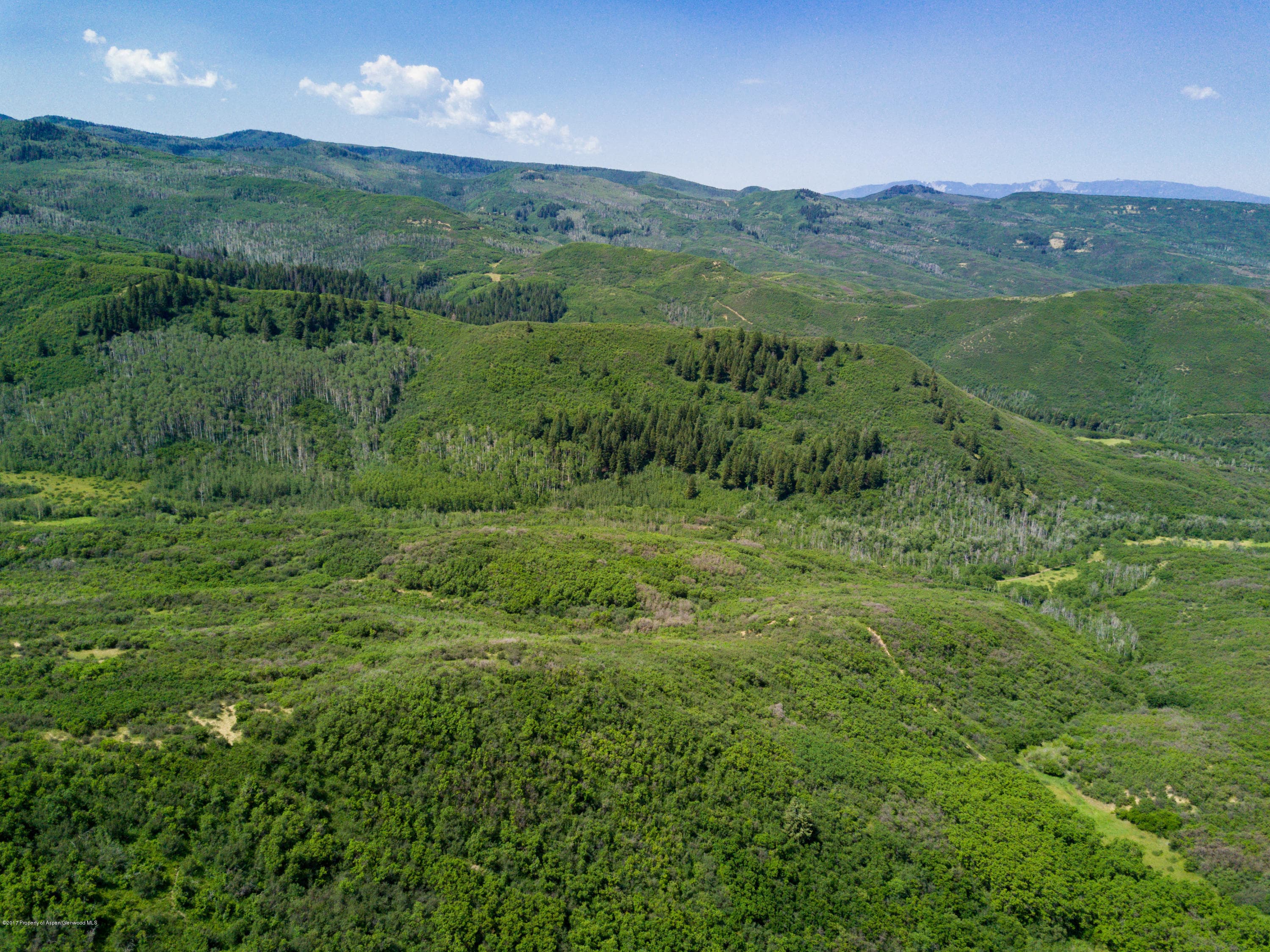 TBD County Road 312, New Castle, CO 81647 - Photo 14