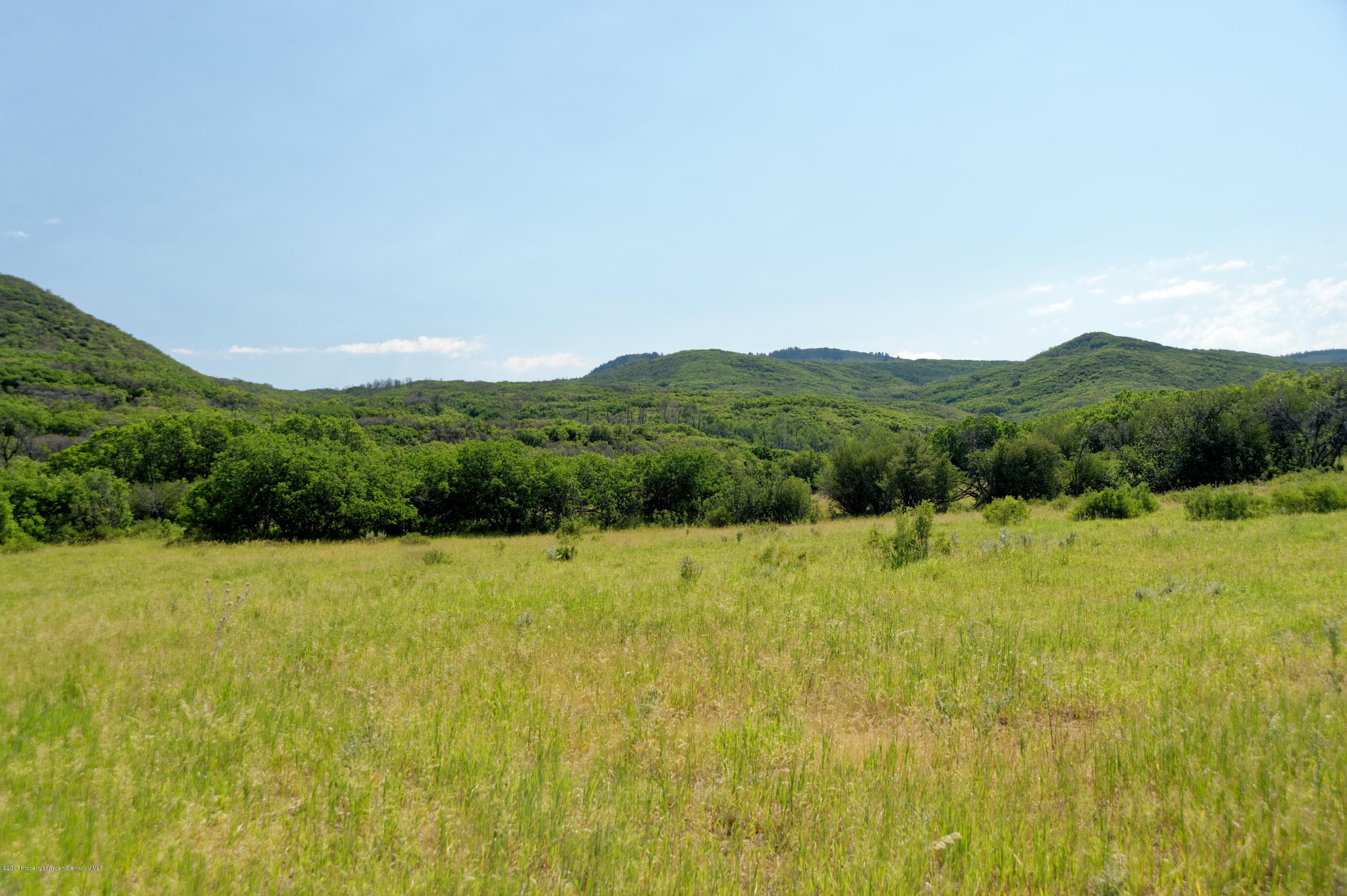 TBD County Road 312, New Castle, CO 81647 - Photo 27