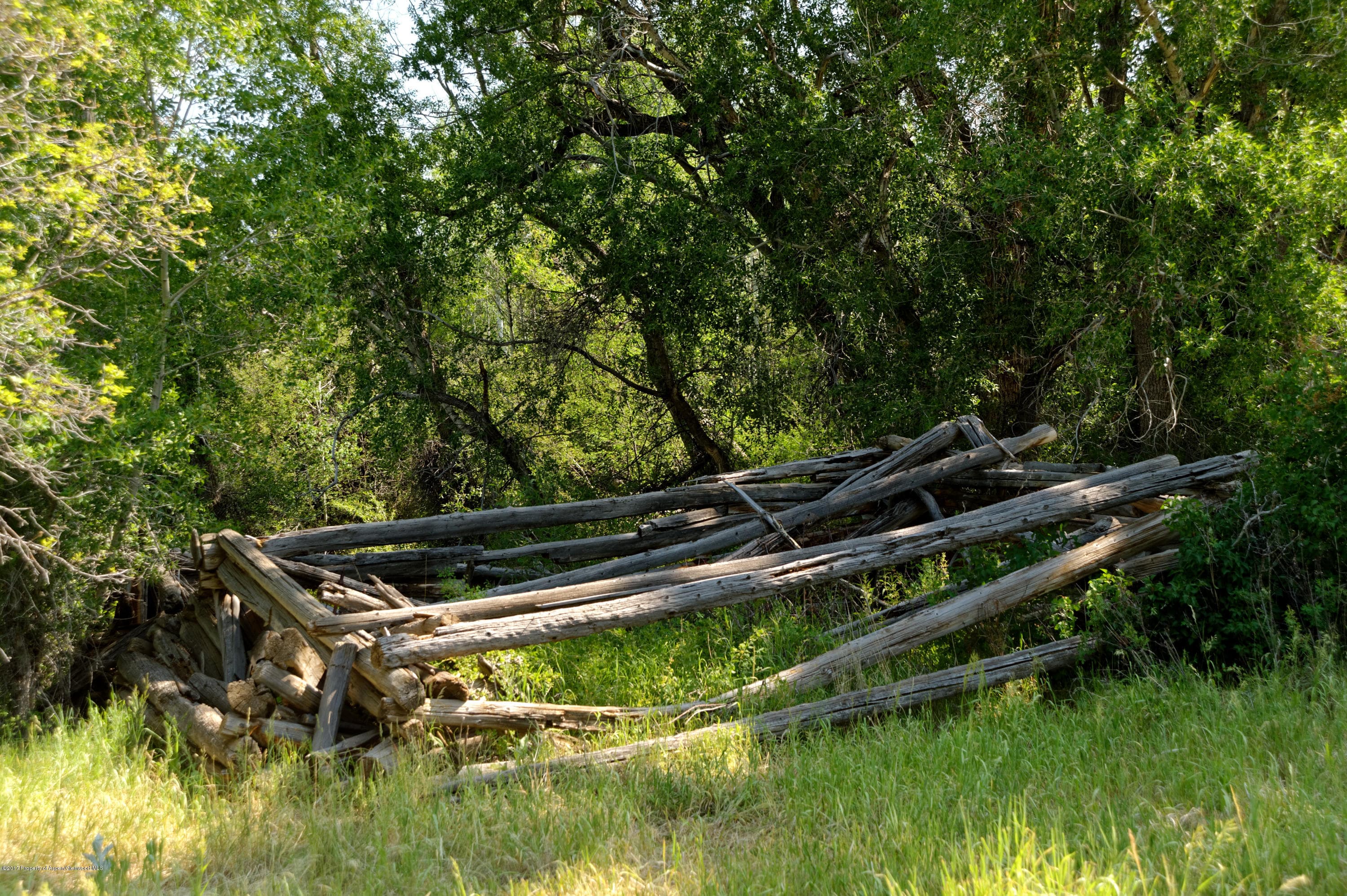TBD County Road 312, New Castle, CO 81647 - Photo 28