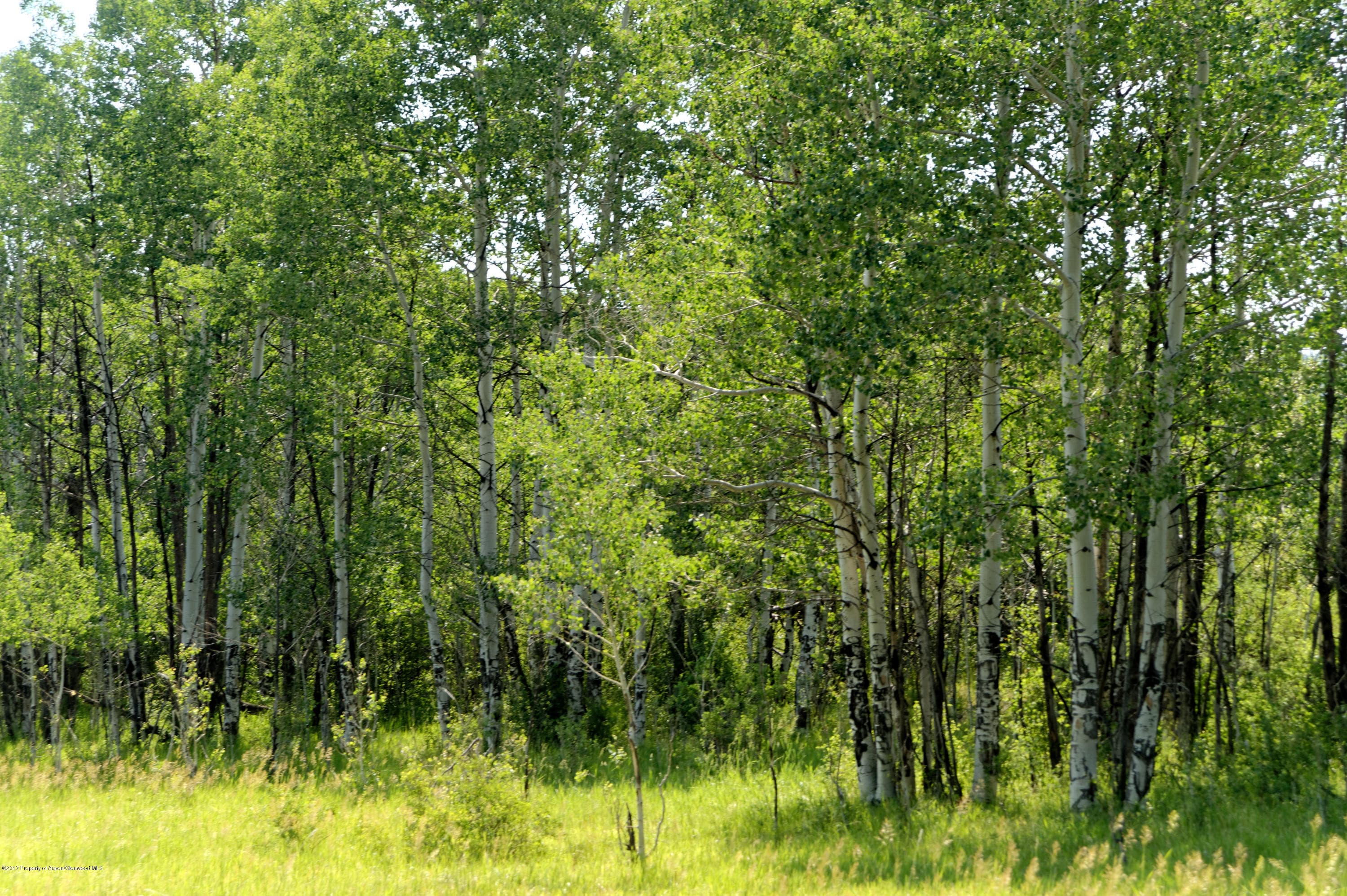 TBD County Road 312, New Castle, CO 81647 - Photo 30