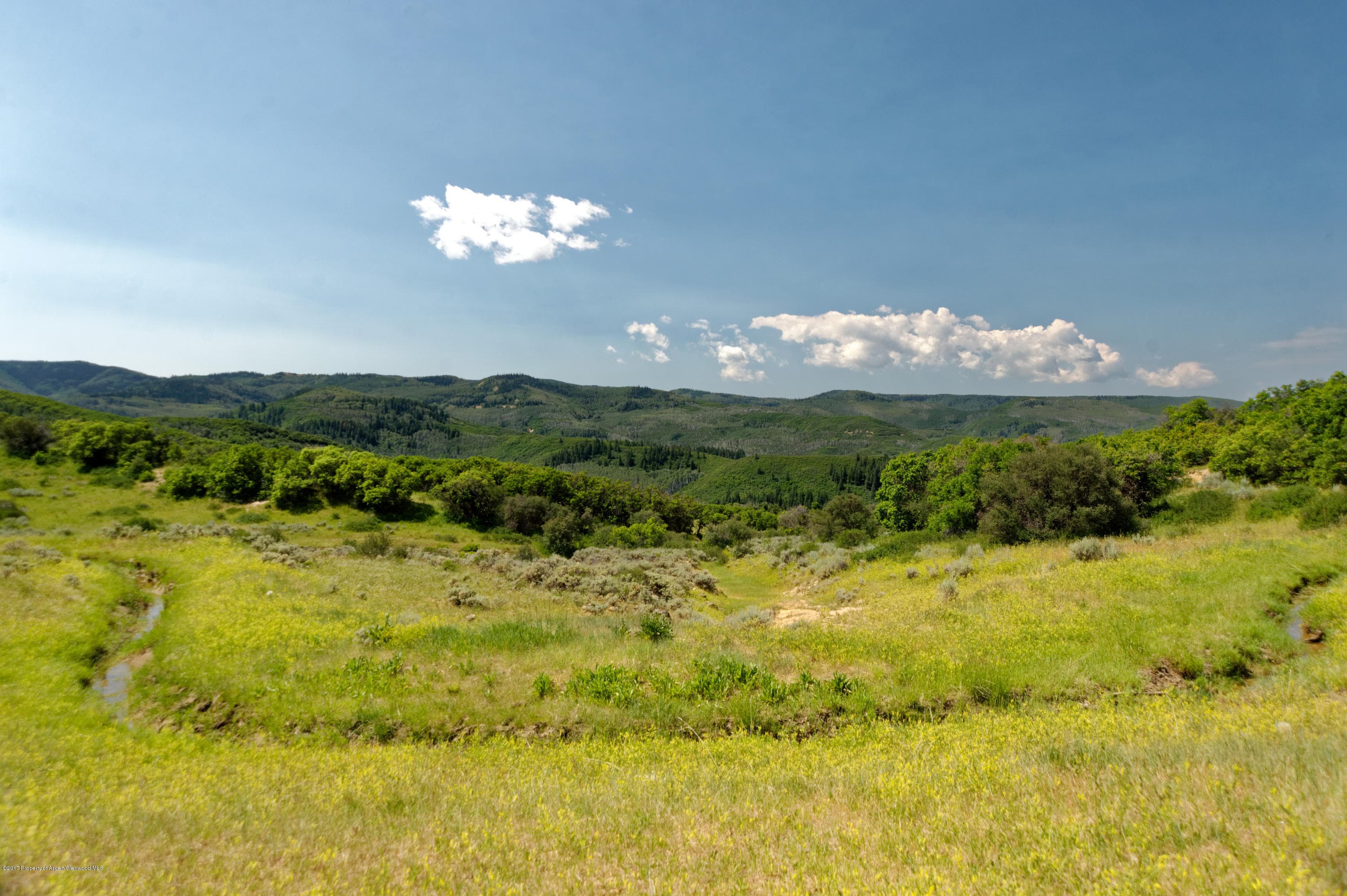 TBD County Road 312, New Castle, CO 81647 - Photo 33
