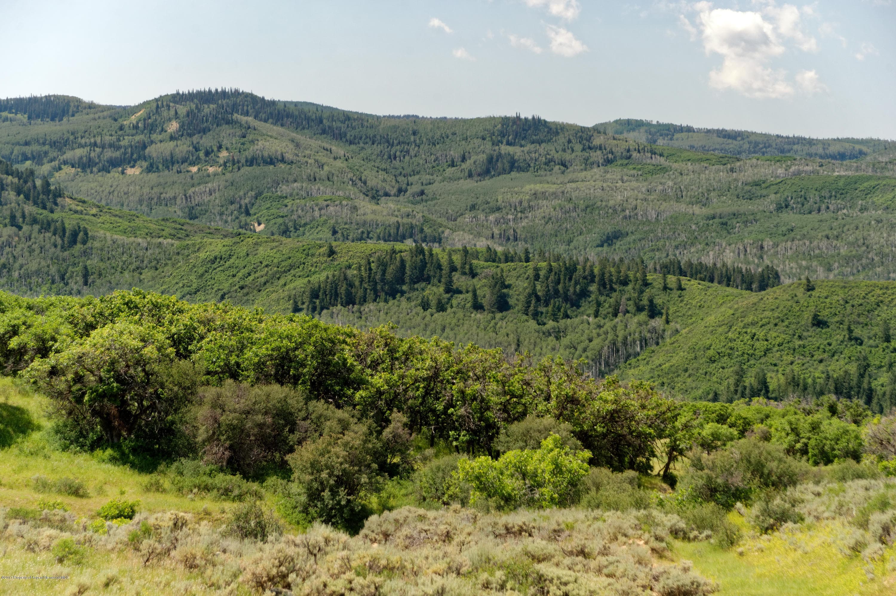 TBD County Road 312, New Castle, CO 81647 - Photo 34