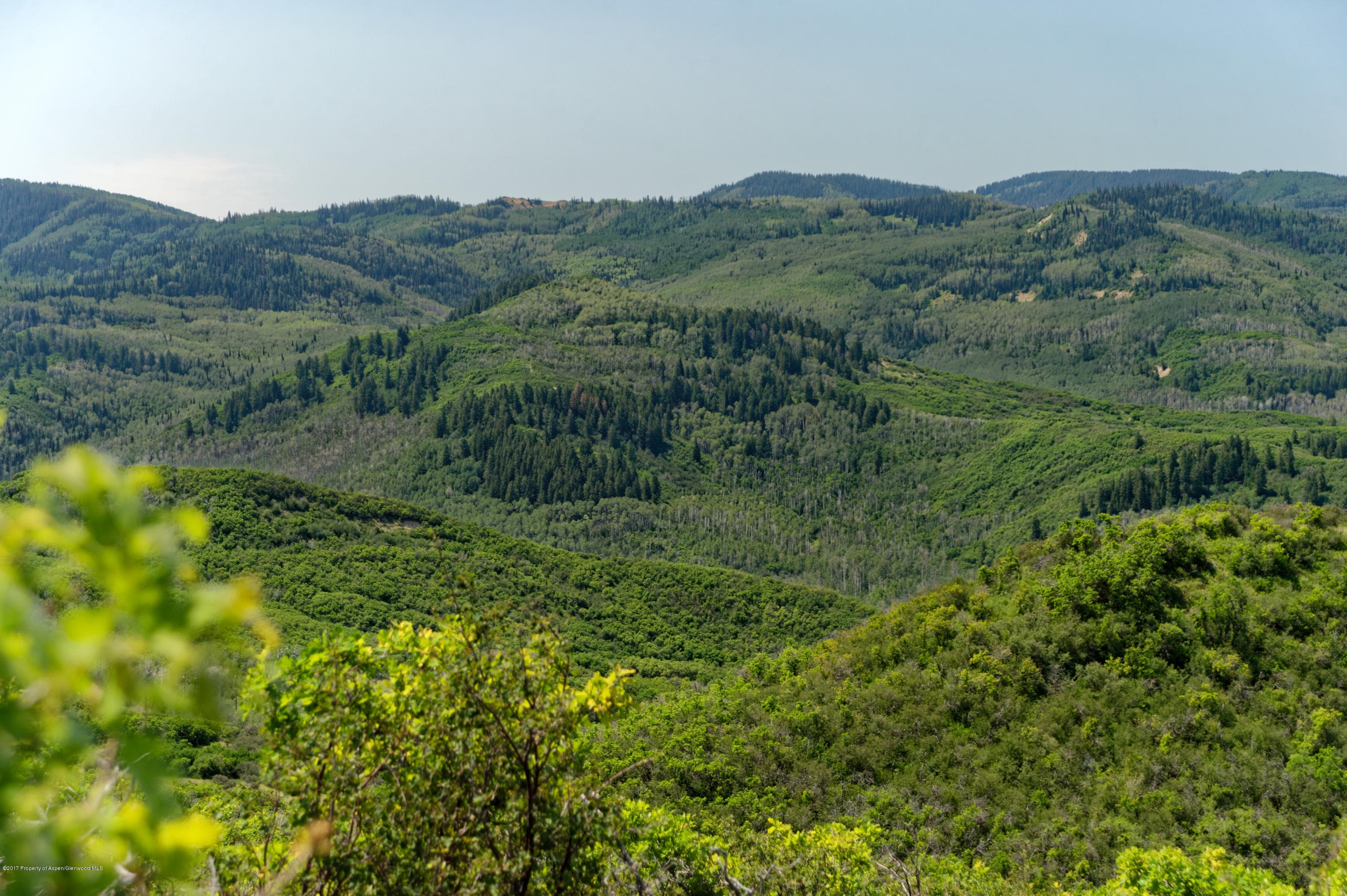 TBD County Road 312, New Castle, CO 81647 - Photo 35