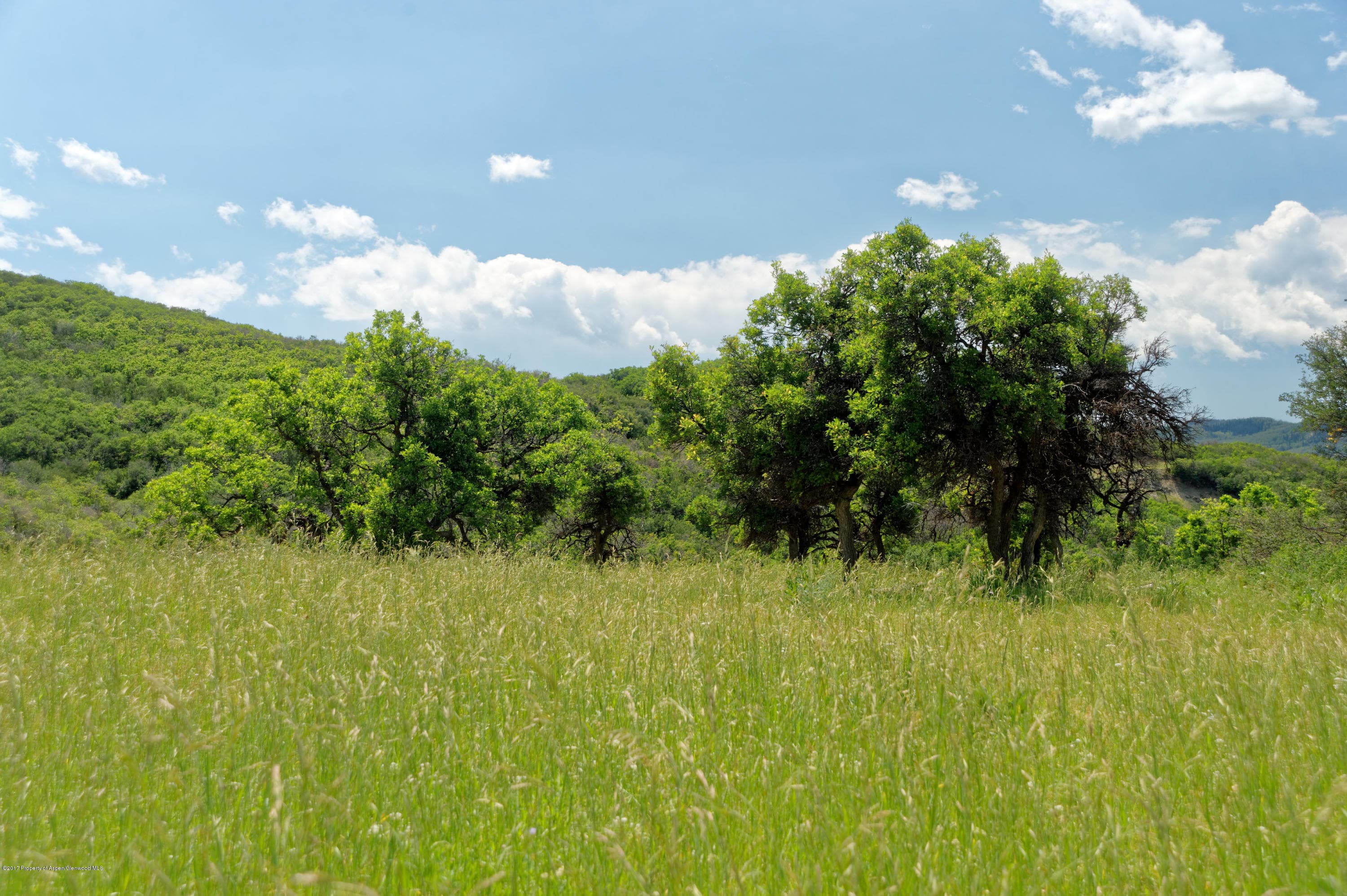 TBD County Road 312, New Castle, CO 81647 - Photo 39