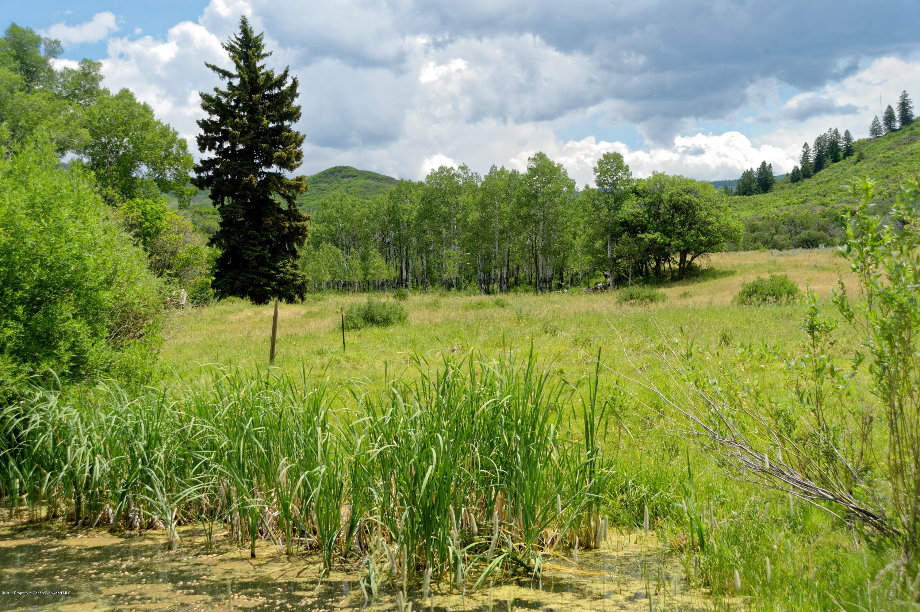 TBD County Road 312, New Castle, CO 81647 - Photo 42