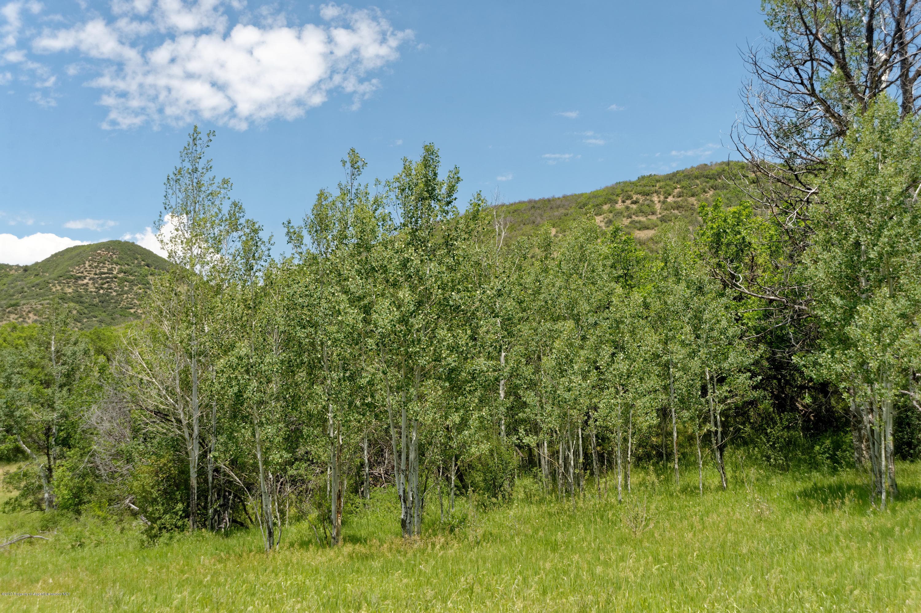 TBD County Road 312, New Castle, CO 81647 - Photo 44