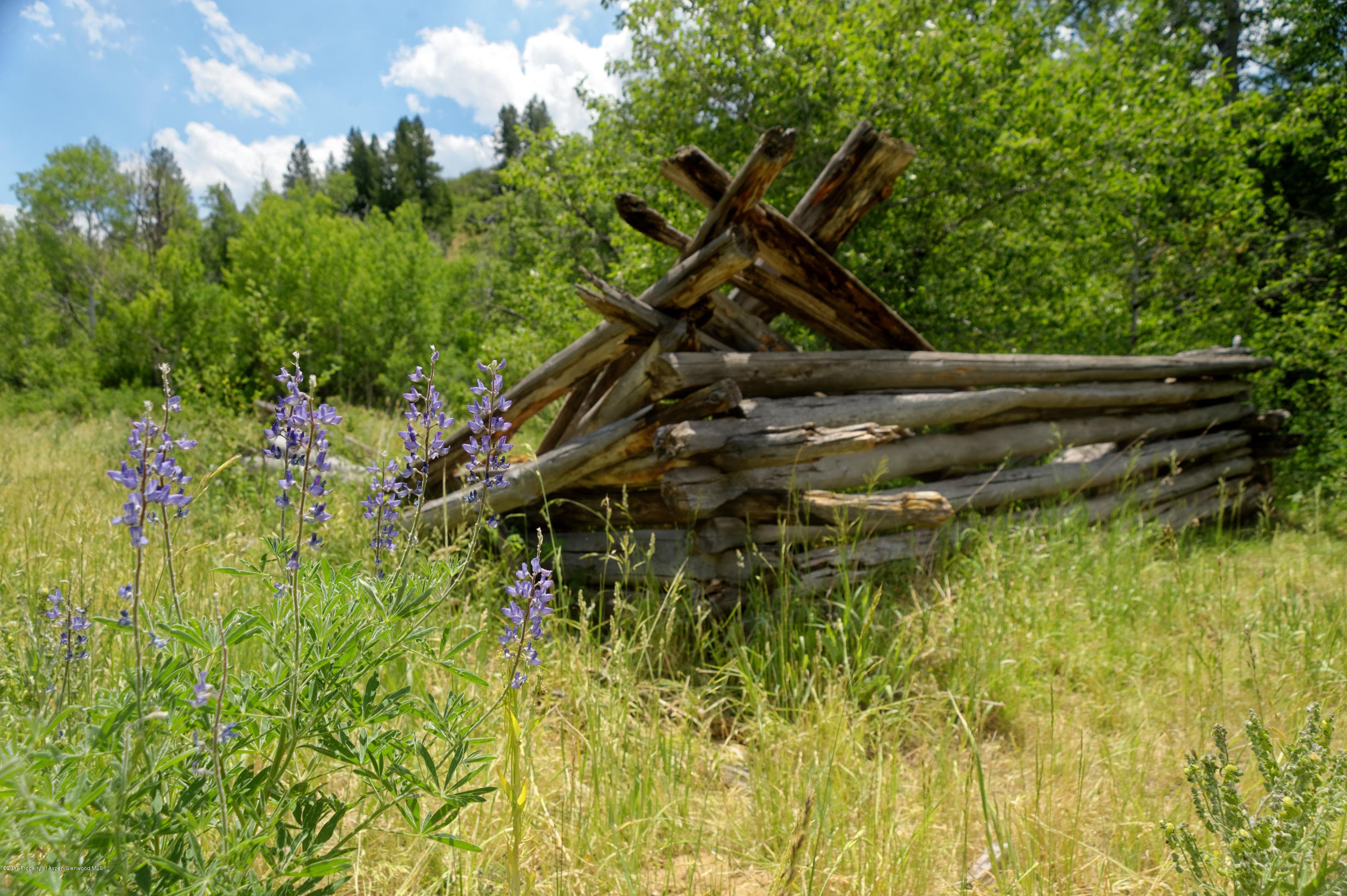 TBD County Road 312, New Castle, CO 81647 - Photo 45