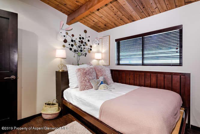 43 Smuggler Grove Road A, Aspen, CO 81611 - Photo 22