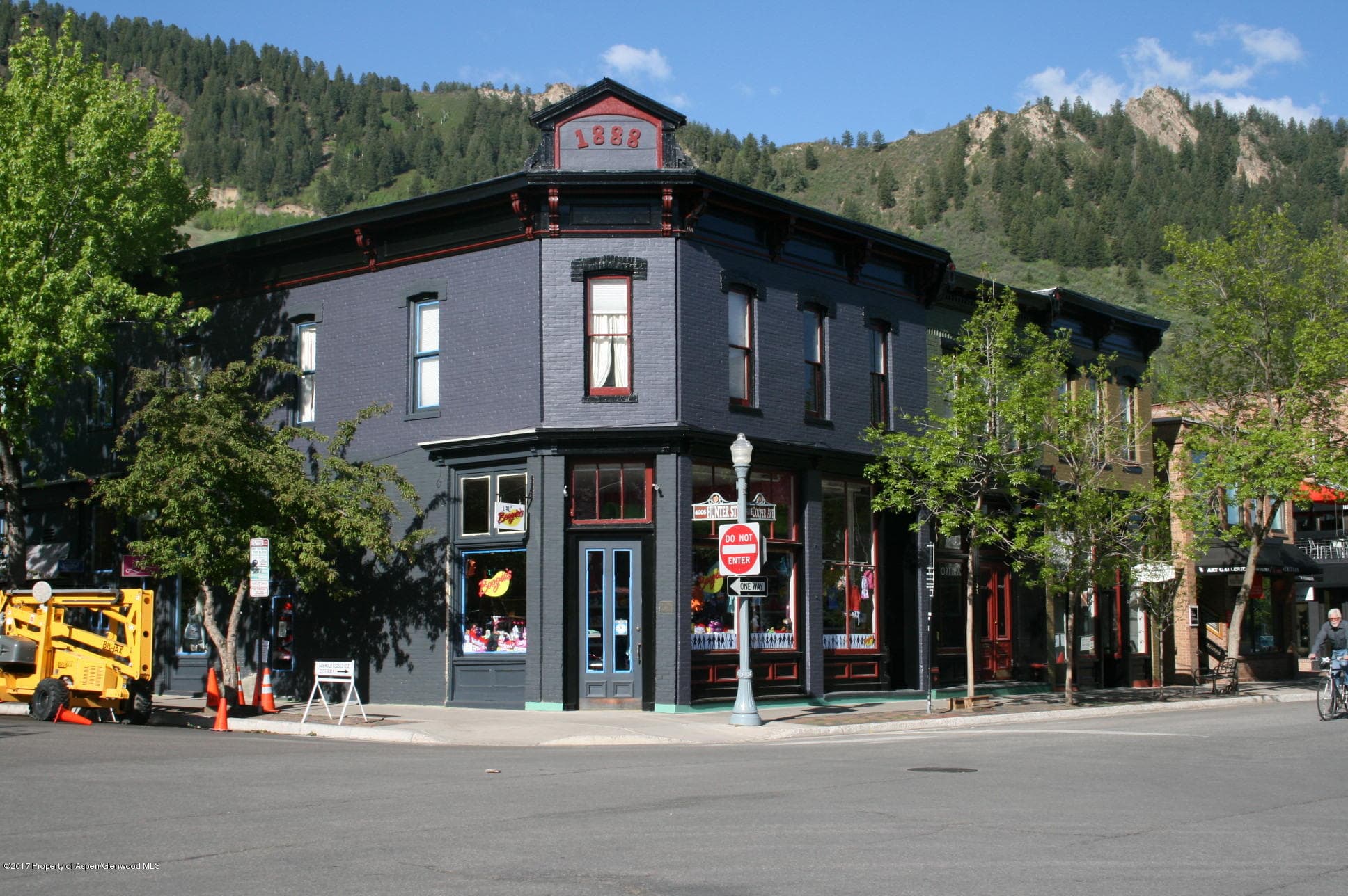 531 E Cooper Avenue Unit 5, Aspen, CO 81611 - Photo 8