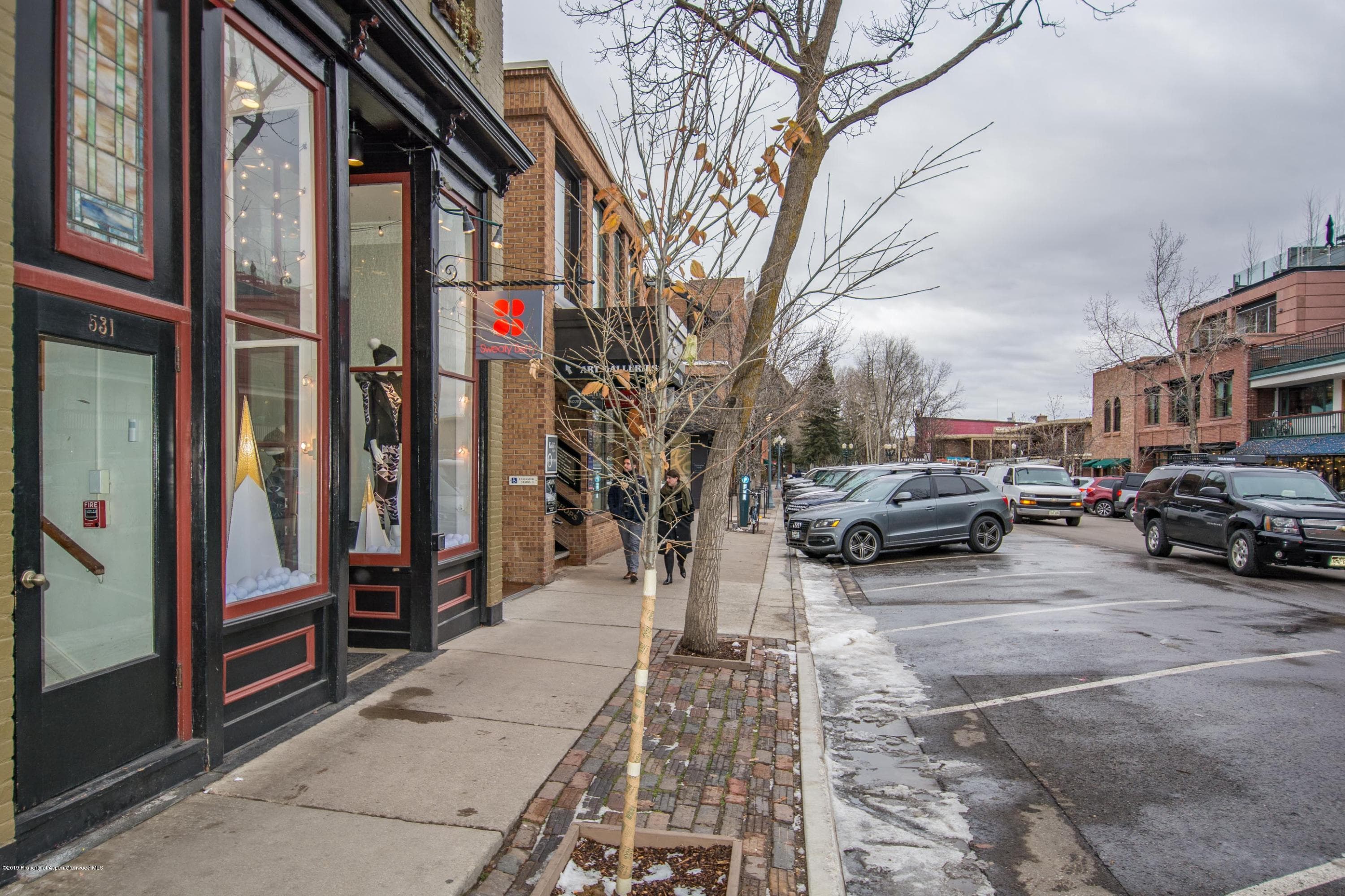 531 E Cooper Avenue Unit 5, Aspen, CO 81611 - Photo 6