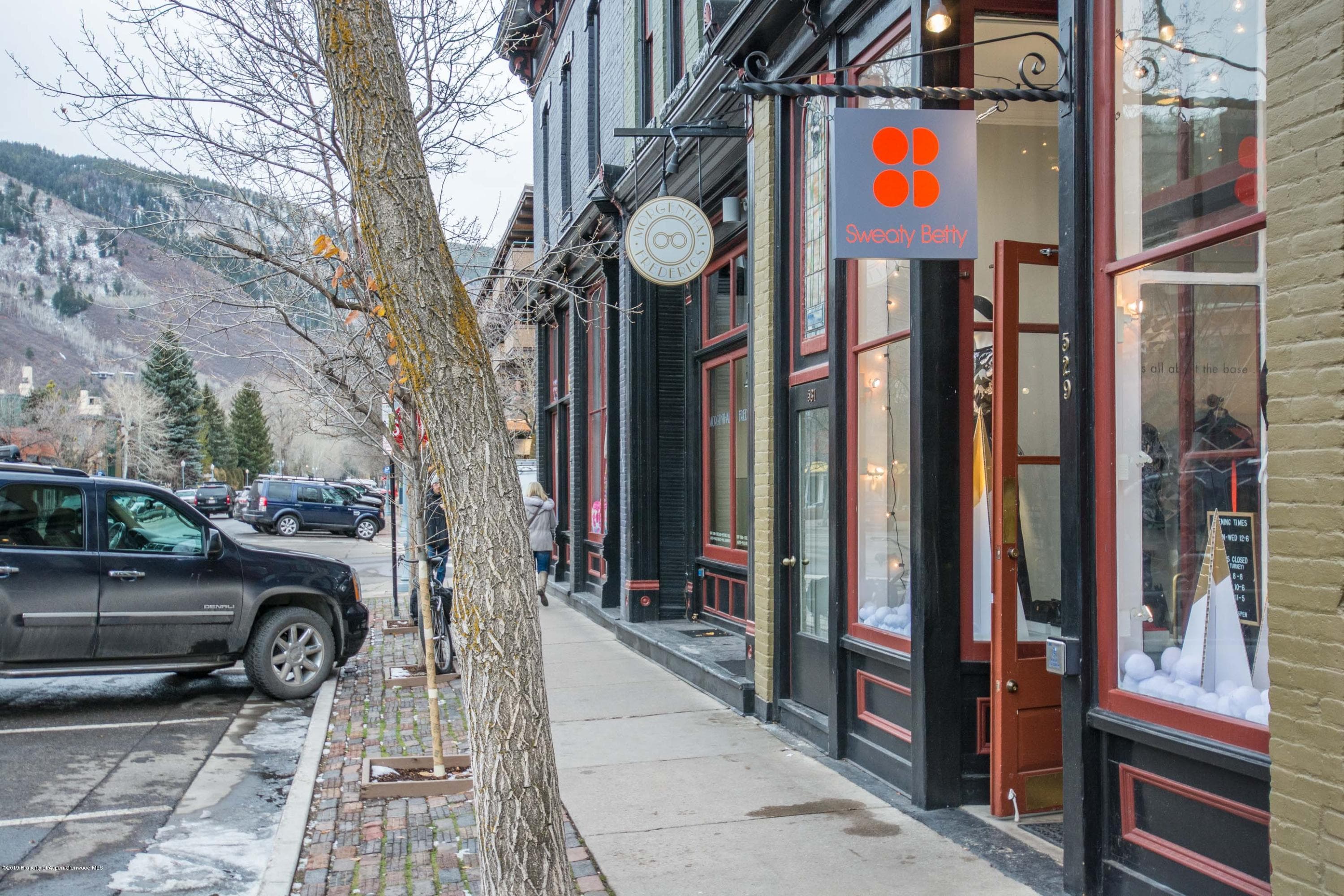 531 E Cooper Avenue Unit 5, Aspen, CO 81611 - Photo 7