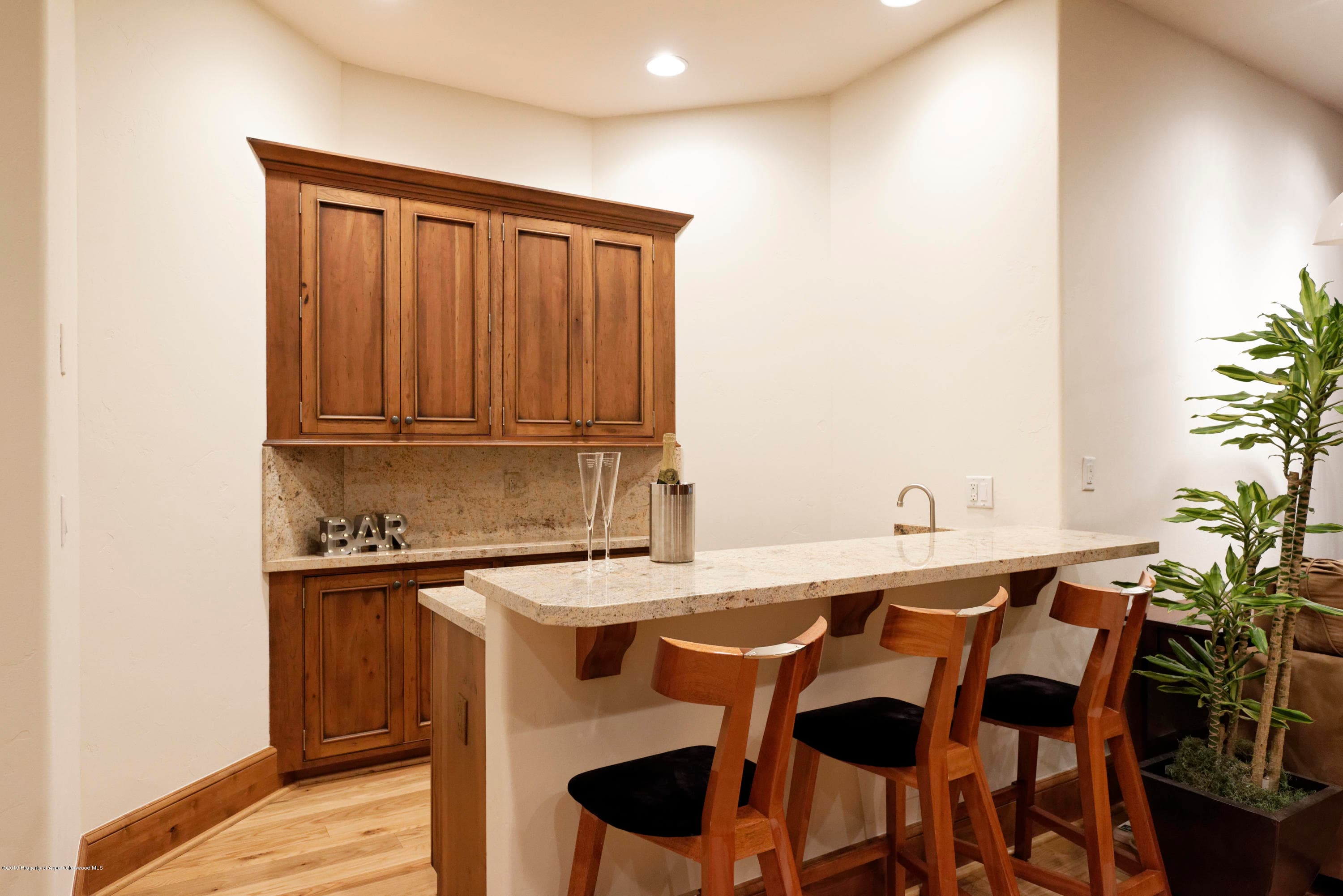 1263 Bunny Court, Aspen, CO 81611 - Photo 22