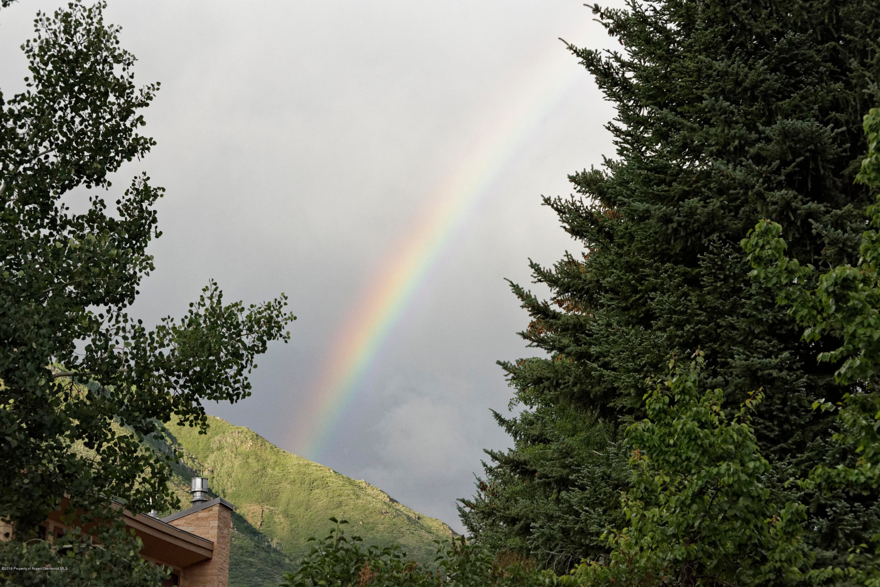 1263 Bunny Court, Aspen, CO 81611 - Photo 35