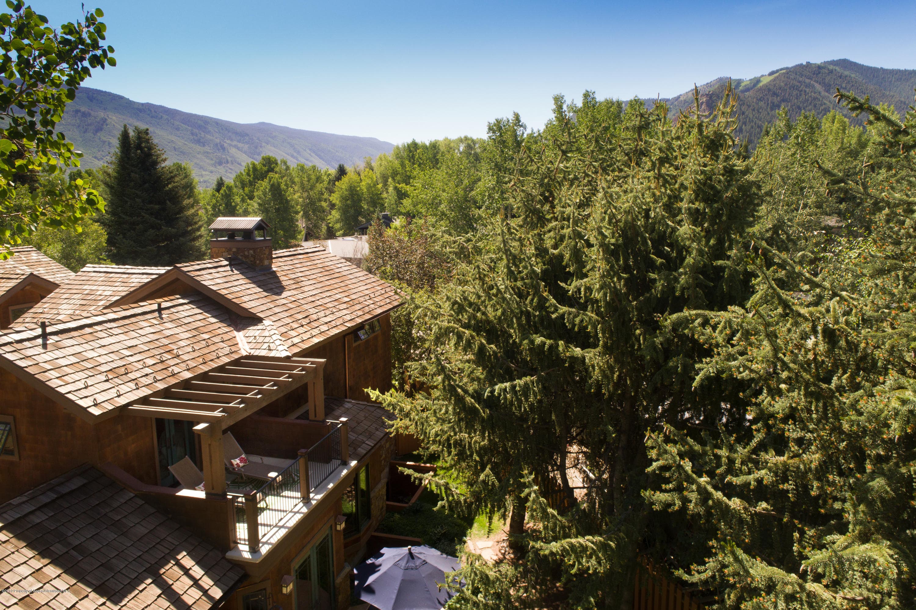 1263 Bunny Court, Aspen, CO 81611 - Photo 41