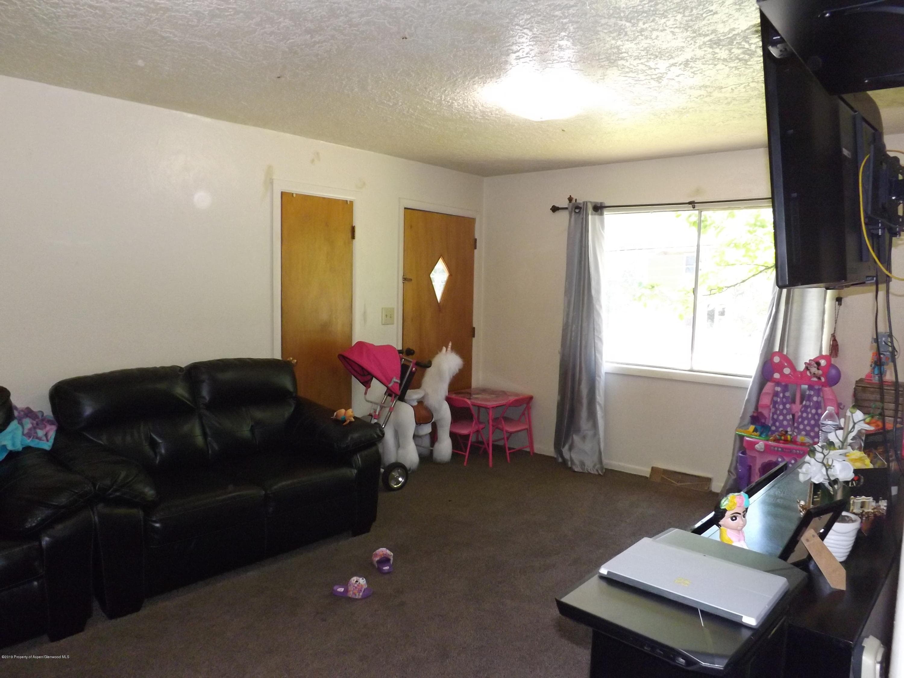 229 Donegan Road 231, Glenwood Springs, CO 81601 - Photo 9