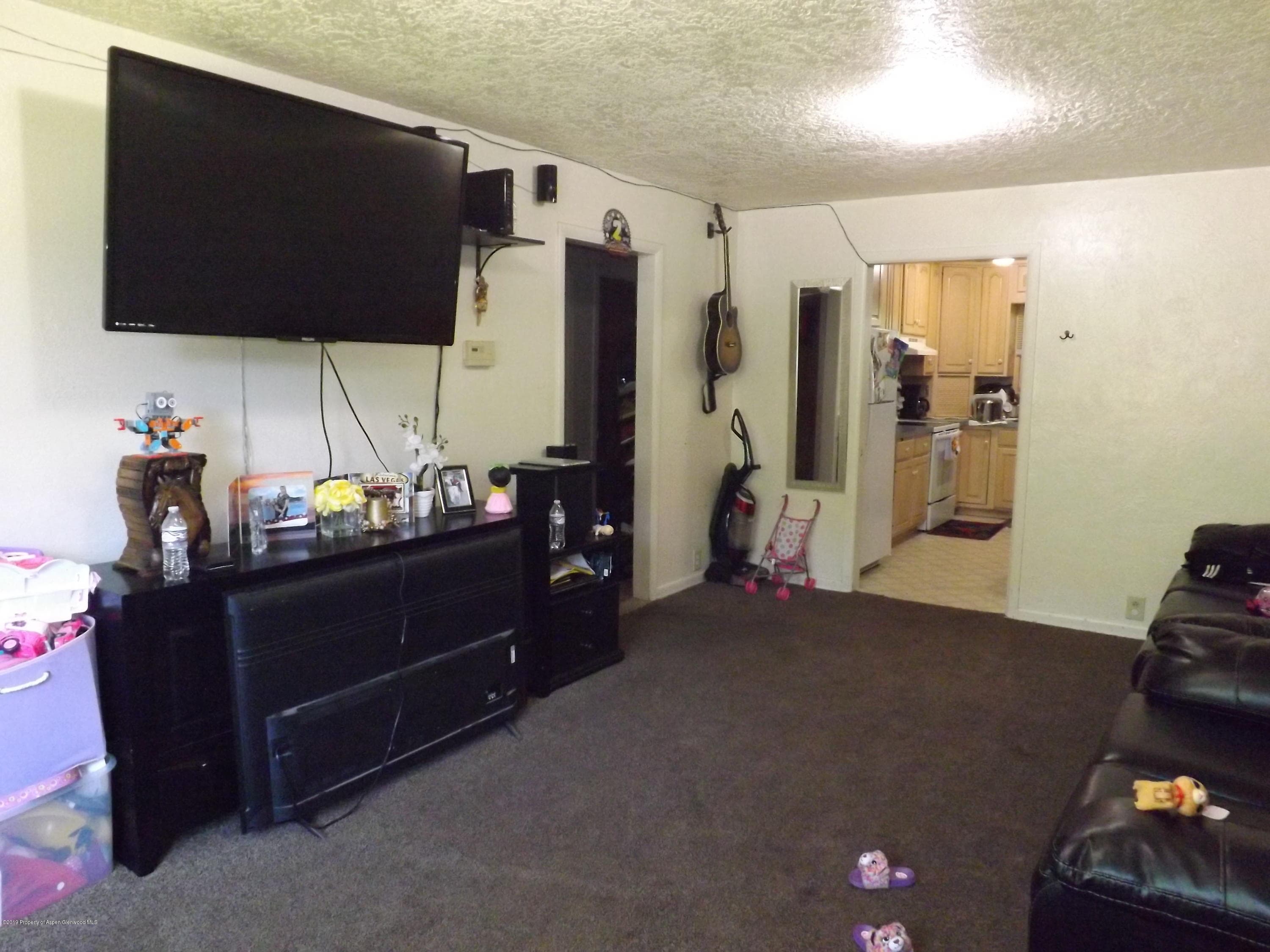 229 Donegan Road 231, Glenwood Springs, CO 81601 - Photo 11