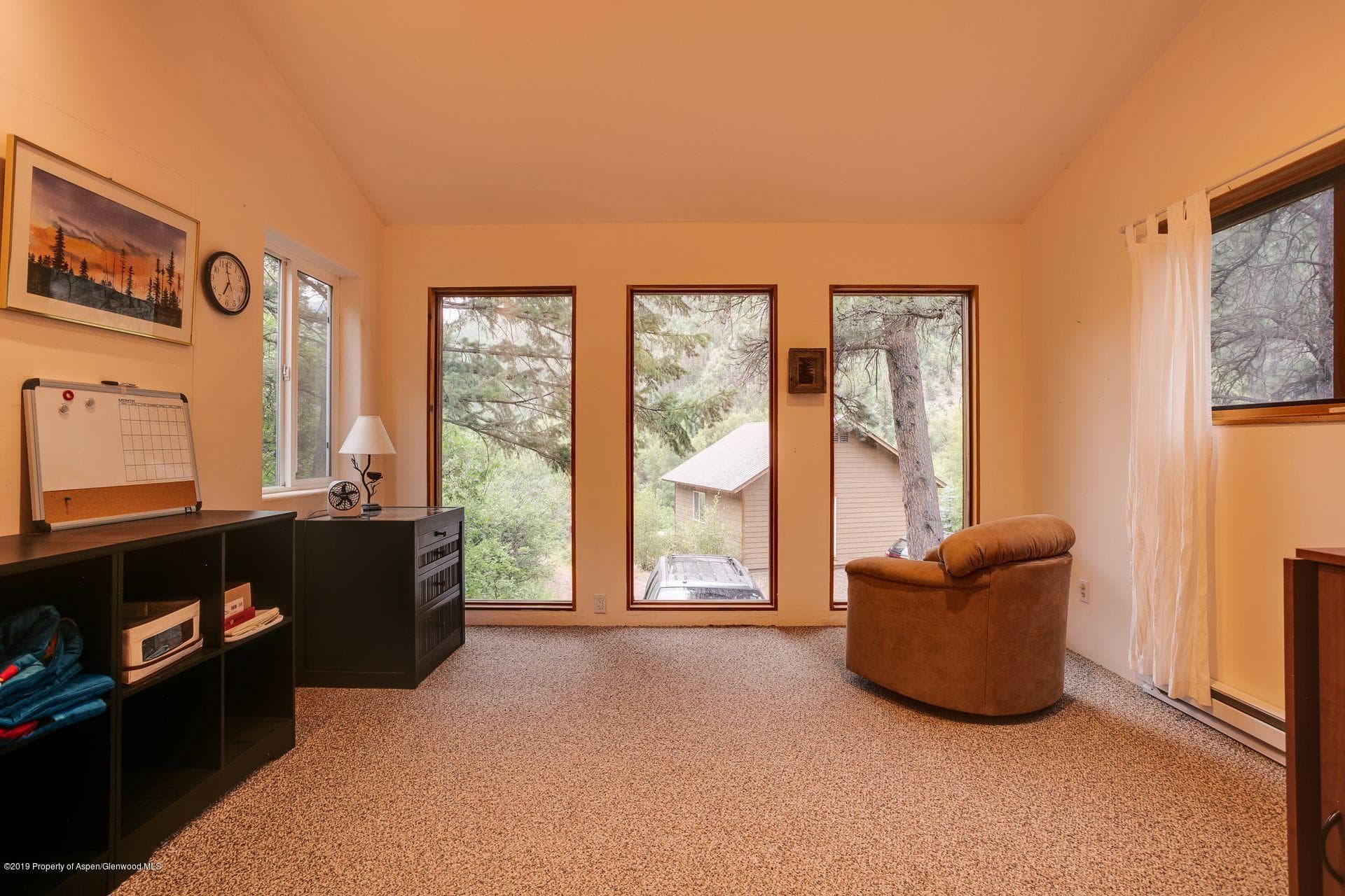 5011 County Road 3, Marble, CO 81623 - Photo 9