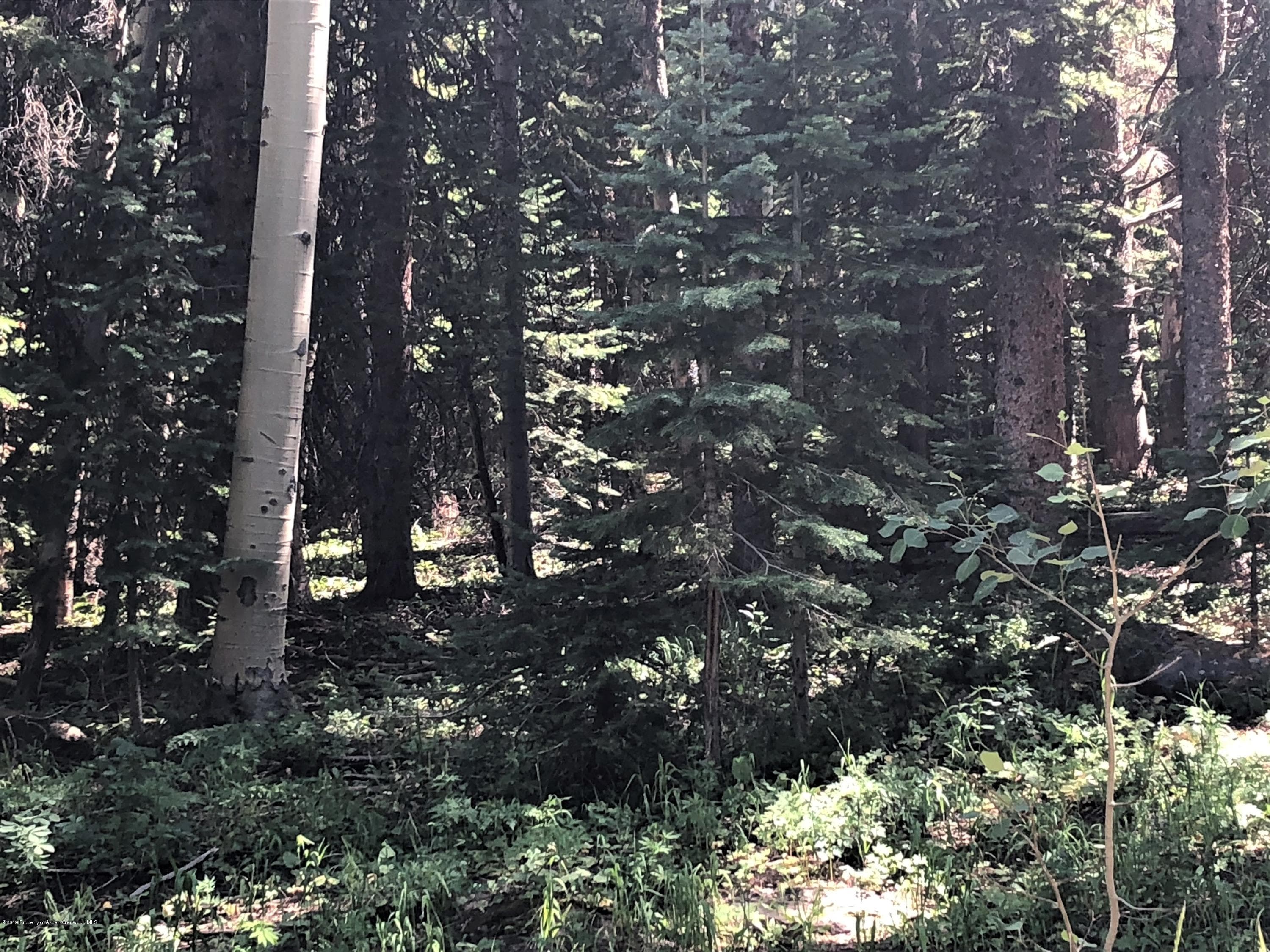 1152 Forest Service Road Lot 162, Craig, CO 81625 - Photo 4