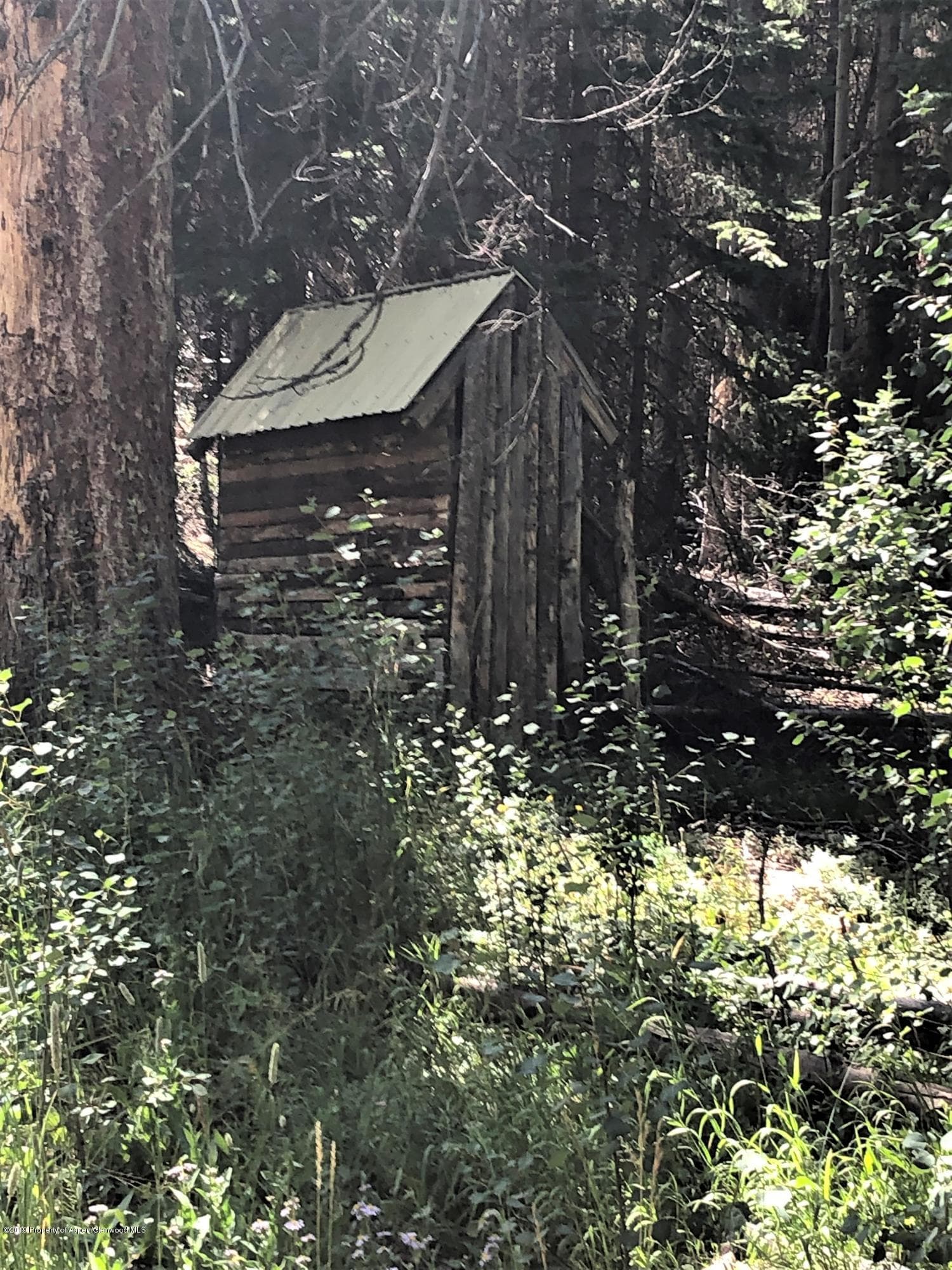 1152 Forest Service Road Lot 162, Craig, CO 81625 - Photo 2
