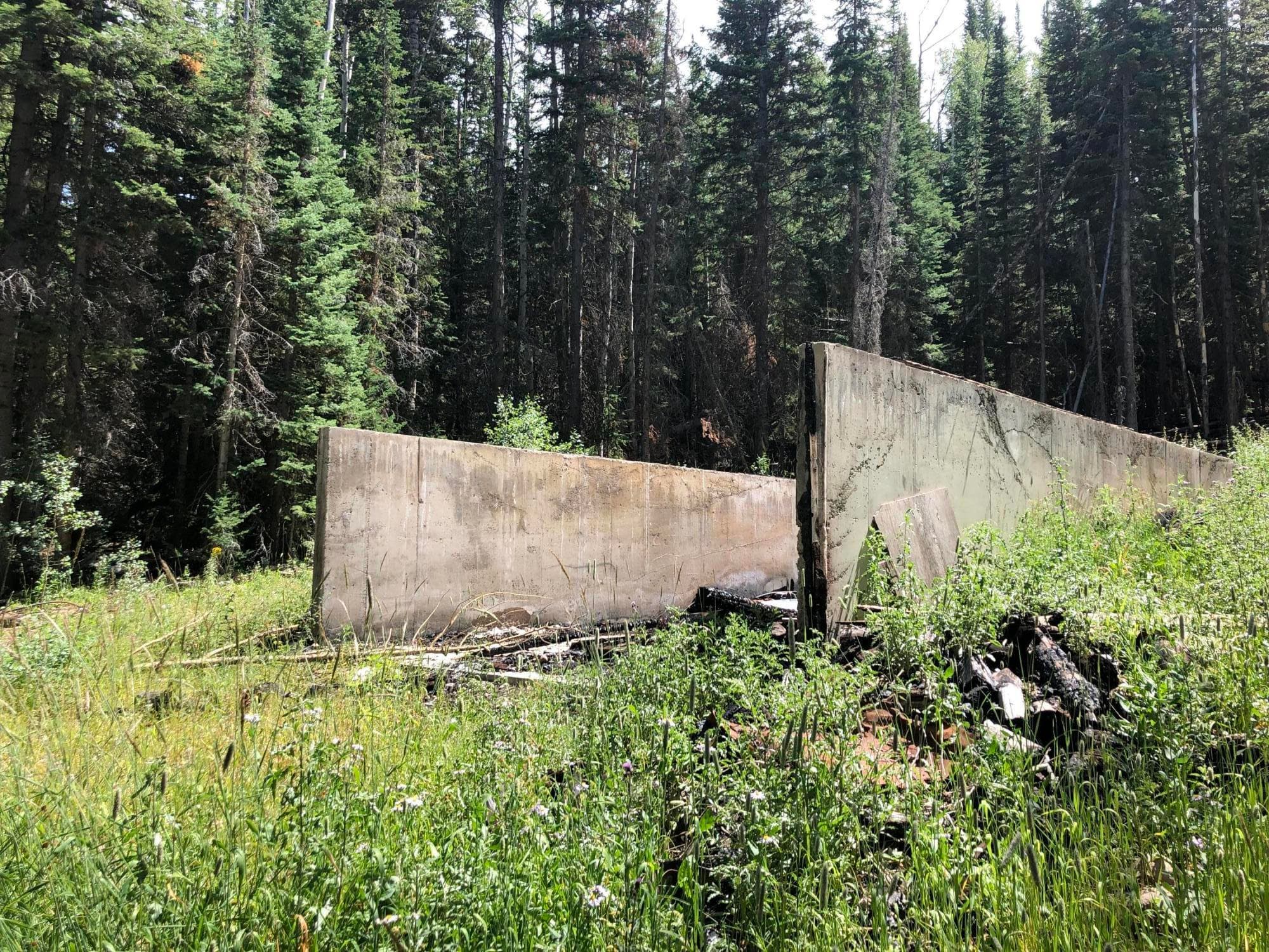 1152 Forest Service Road Lot 162, Craig, CO 81625 - Photo 1