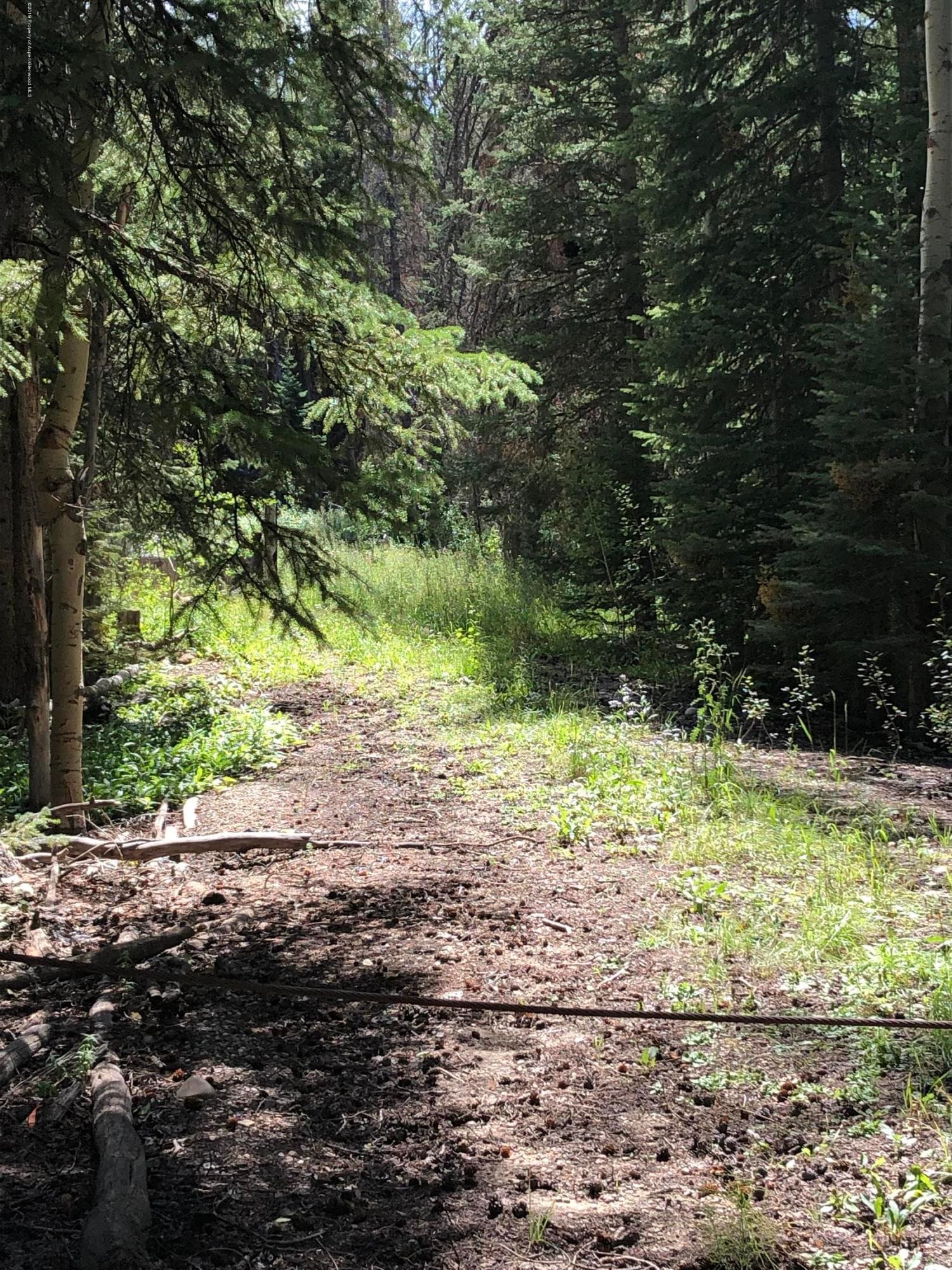 1152 Forest Service Road Lot 162, Craig, CO 81625 - Photo 8