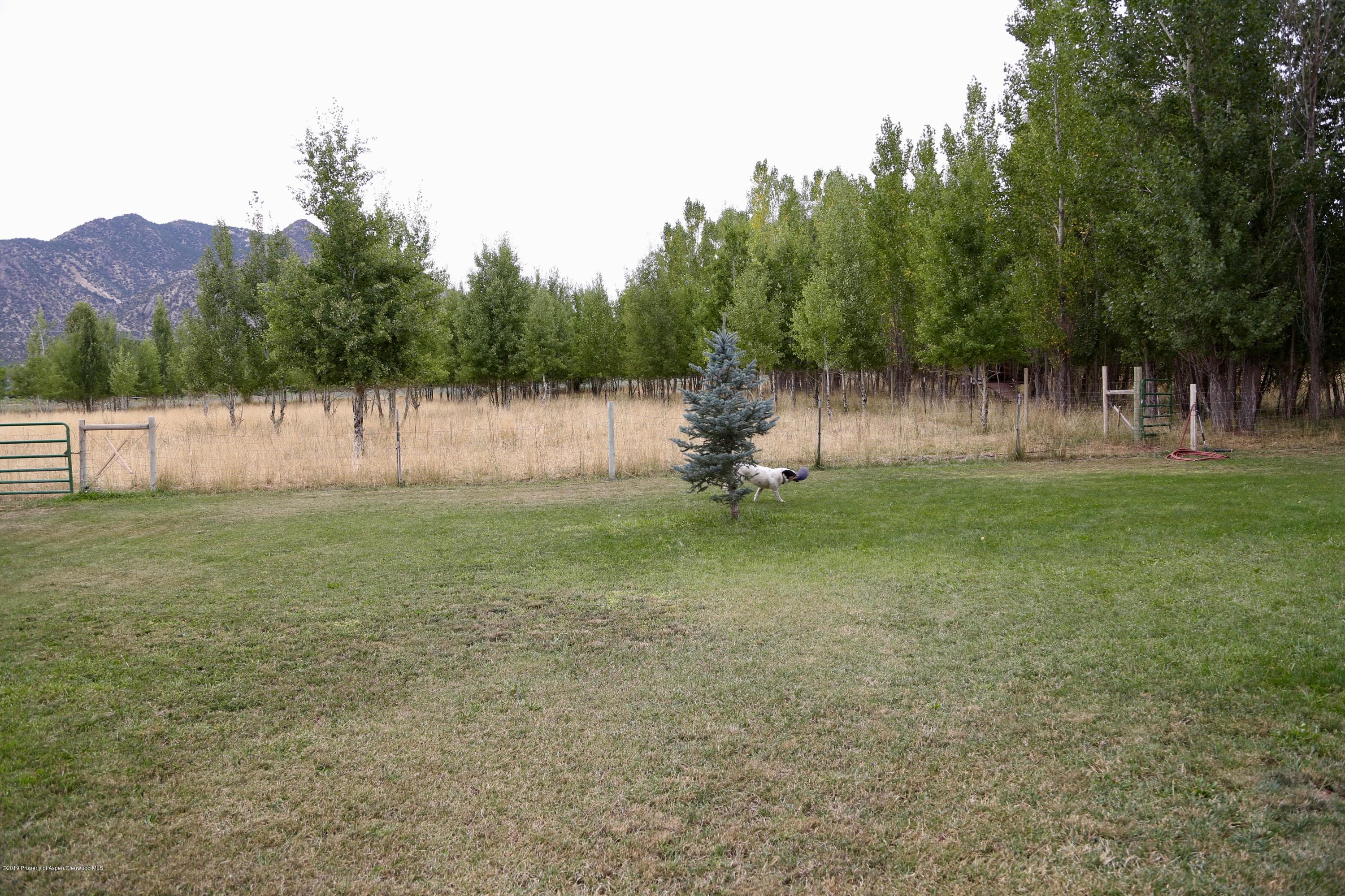 129 Larkspur Court, Silt, CO 81652 - Photo 37