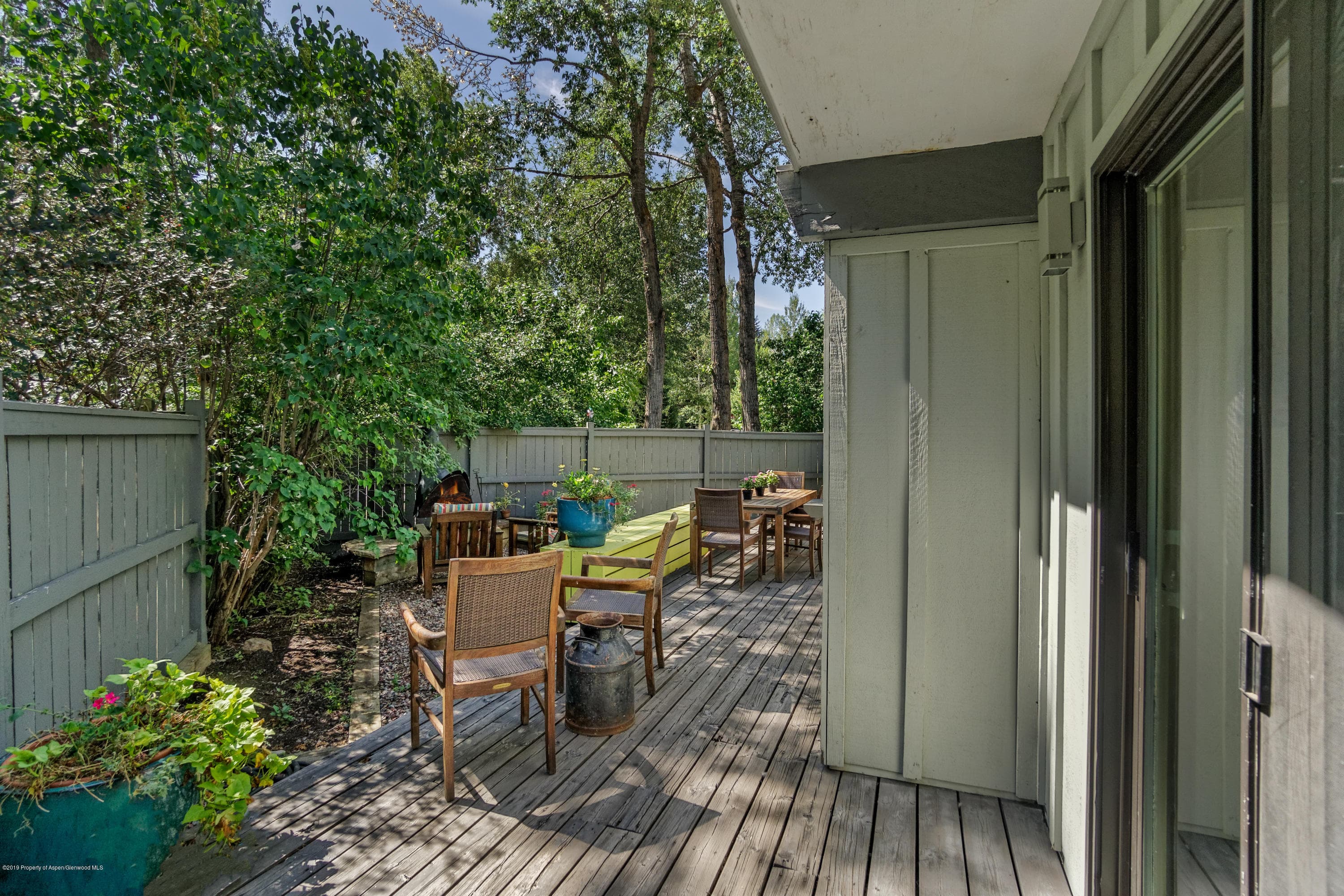 630 W Hallam Street 1, Aspen, CO 81611 - Photo 18
