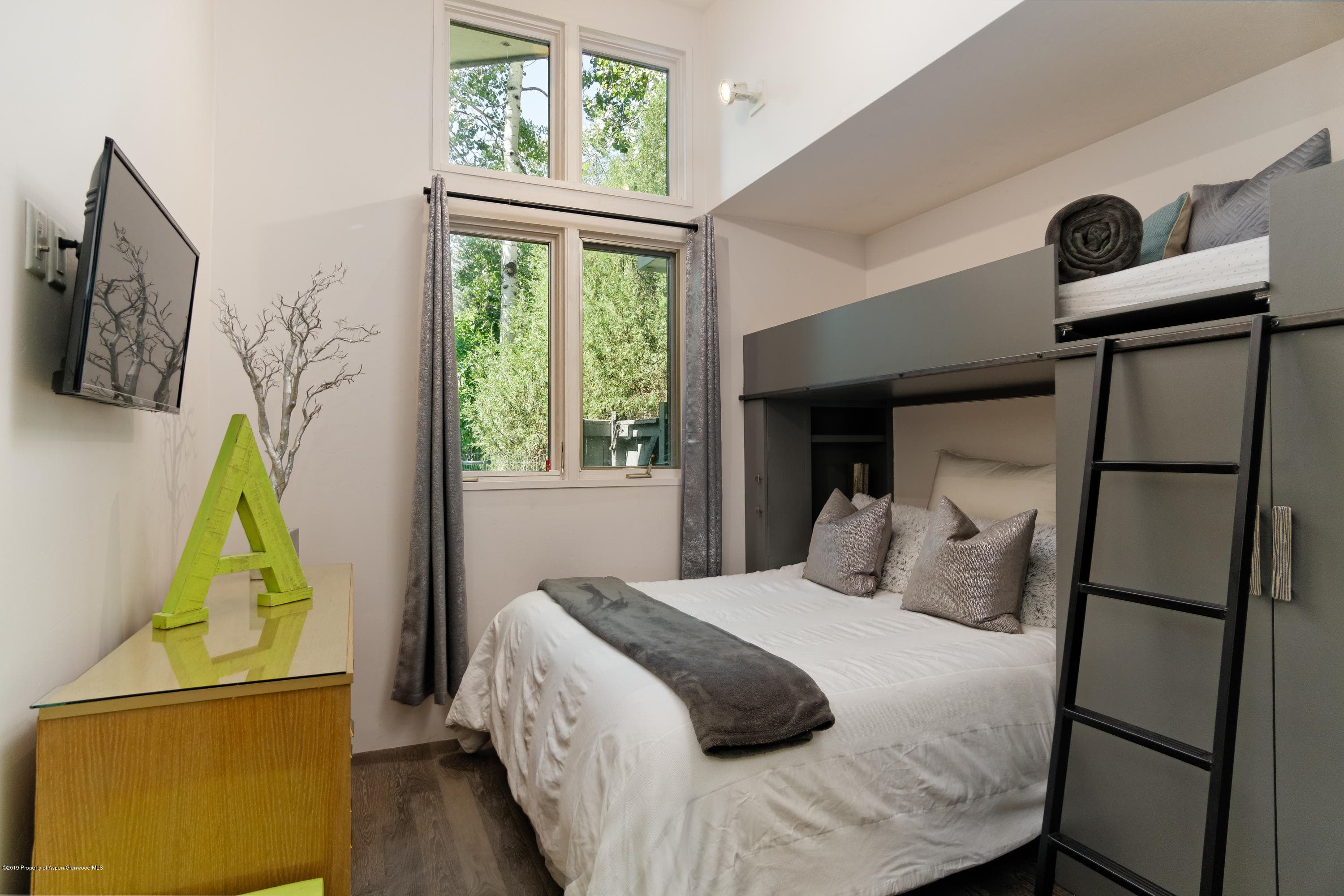 630 W Hallam Street 1, Aspen, CO 81611 - Photo 15