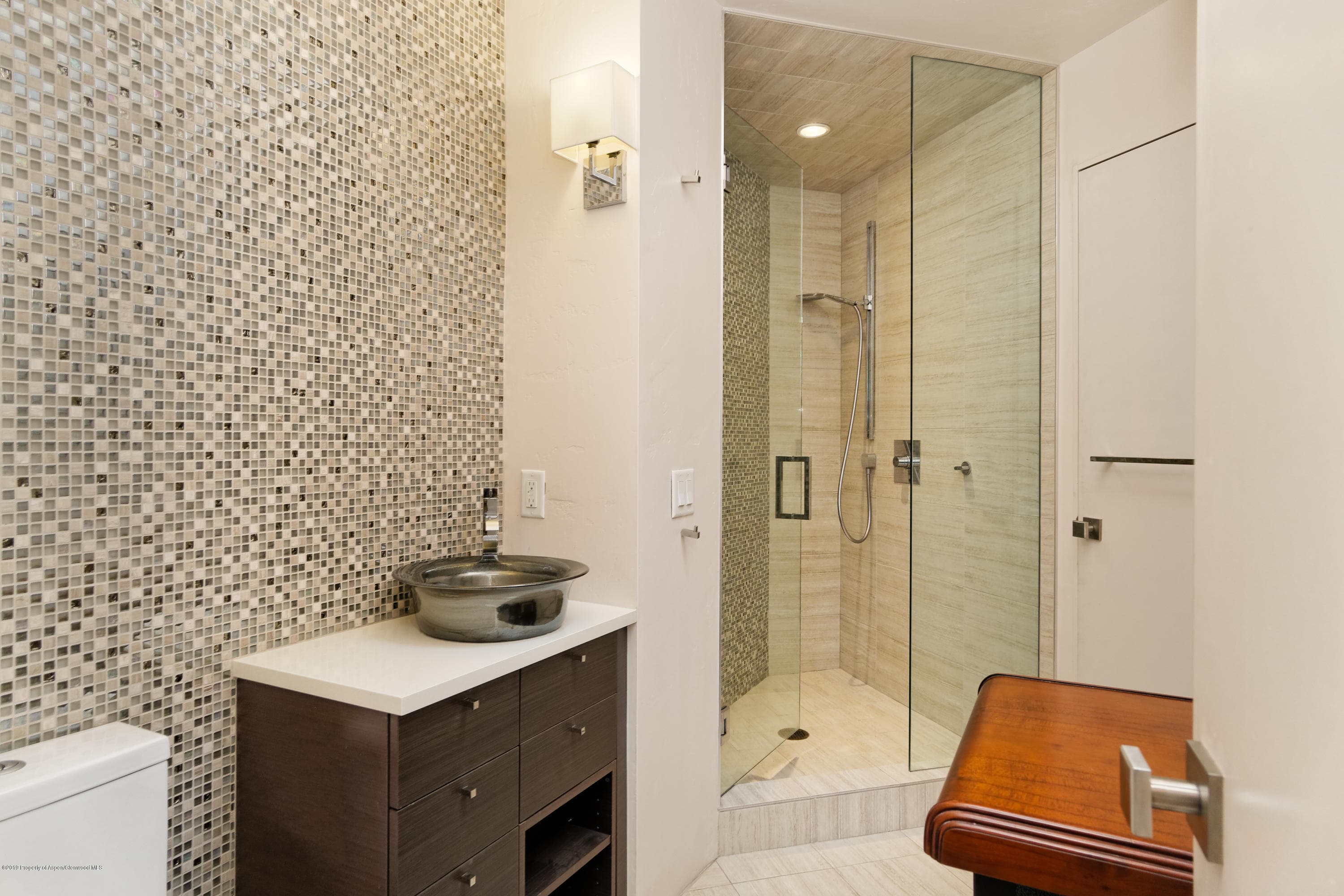 630 W Hallam Street 1, Aspen, CO 81611 - Photo 16