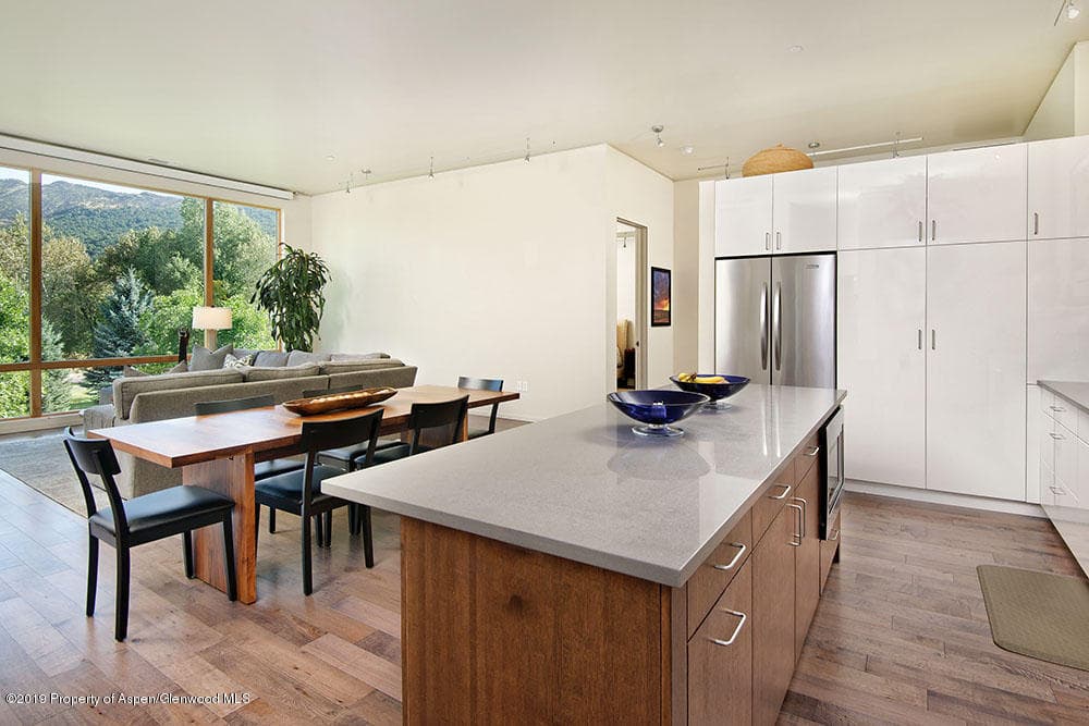 202 Evans Road 201, Basalt, CO 81621 - Photo 8