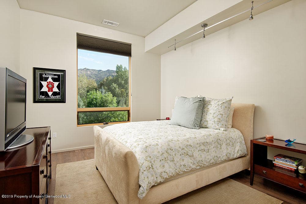 202 Evans Road 201, Basalt, CO 81621 - Photo 9