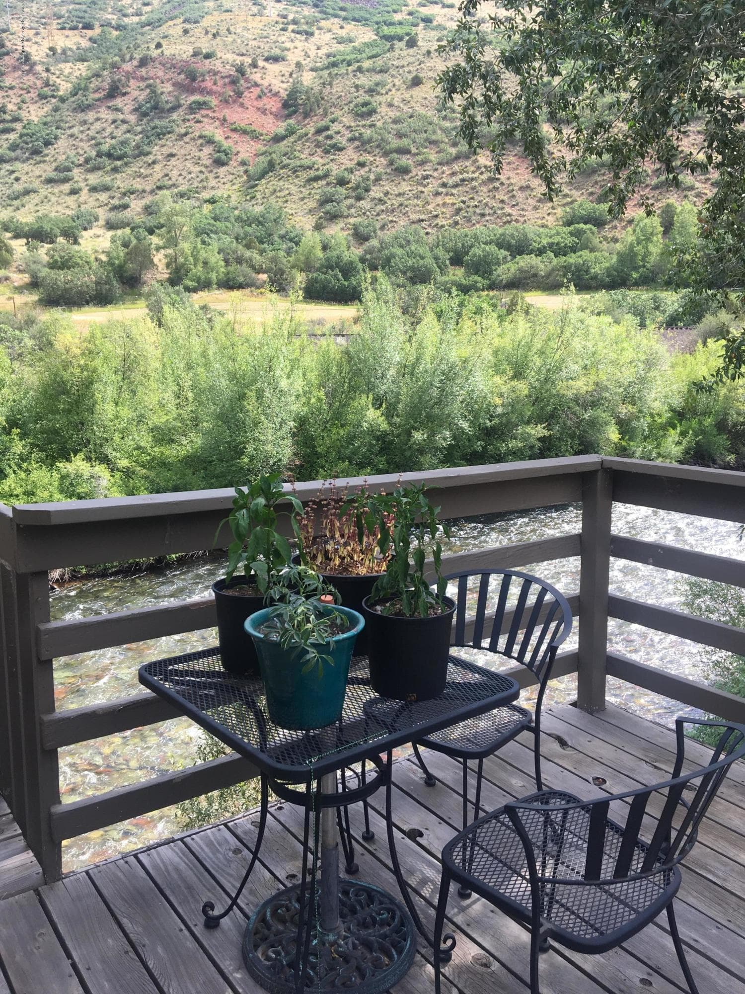 203 Waterview Drive, Snowmass, CO 81654