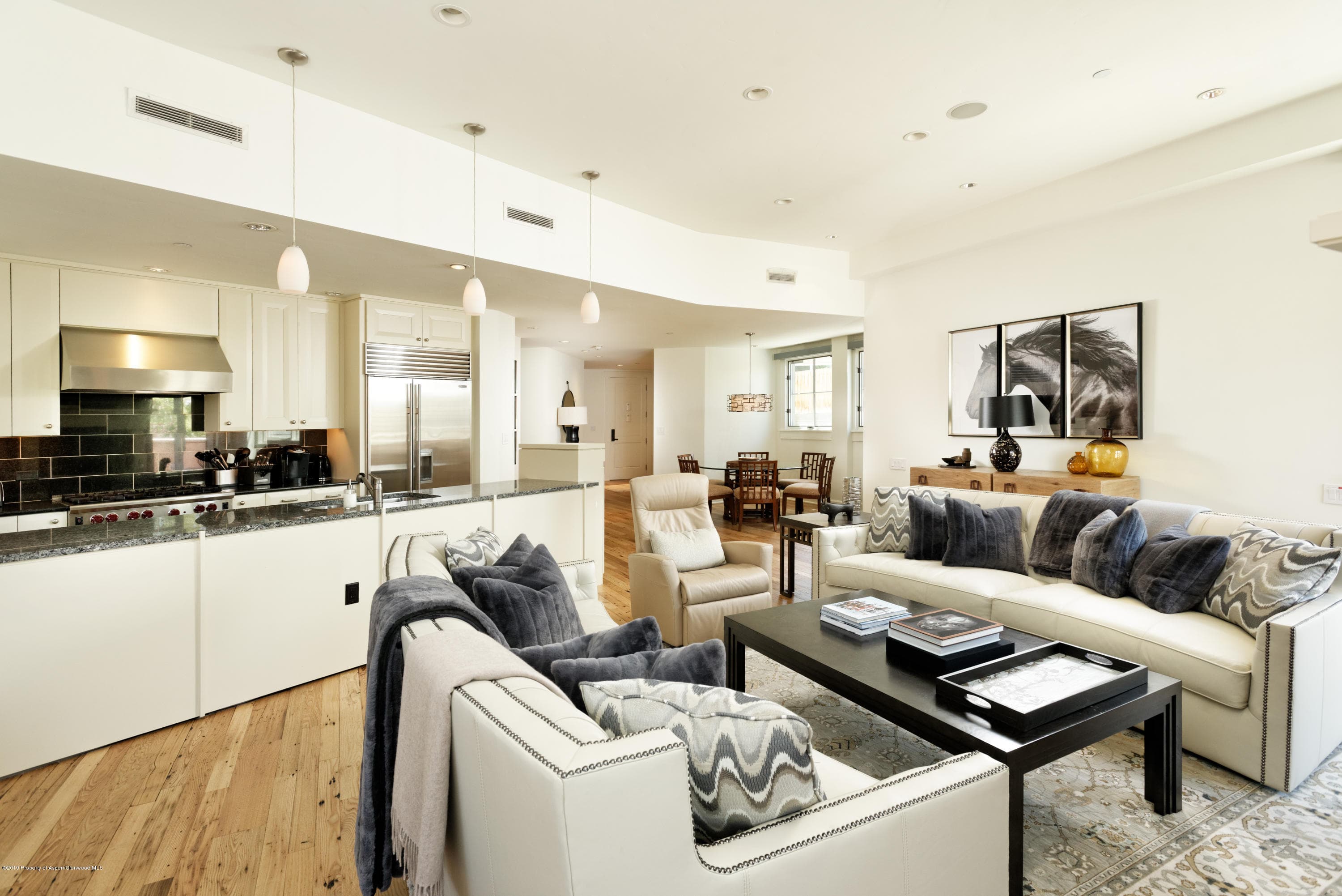 101 Founders Place #201, Aspen, CO 81611 - Photo 6
