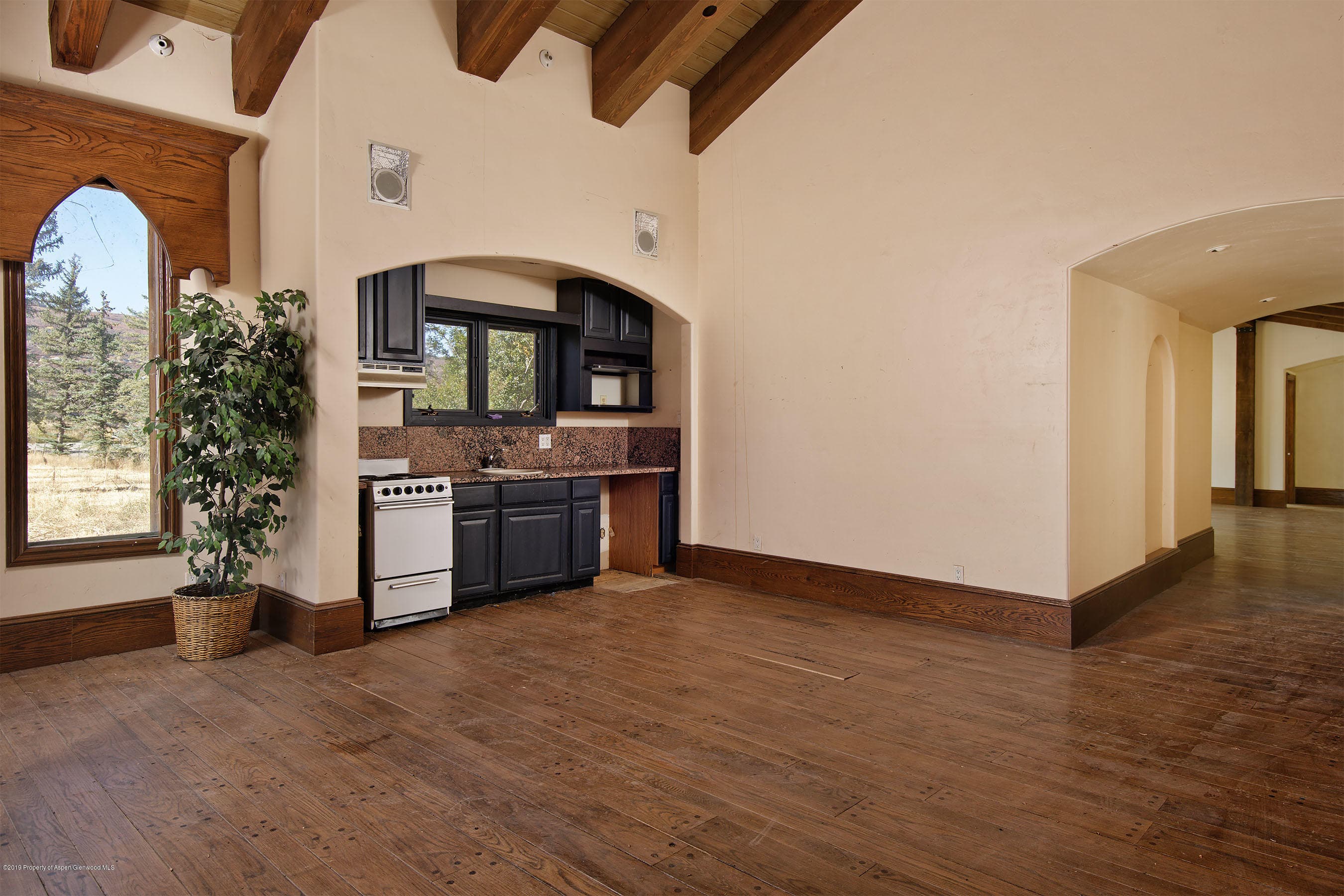 150 Bullwinkle Circle, Aspen, CO 81611 - Photo 18
