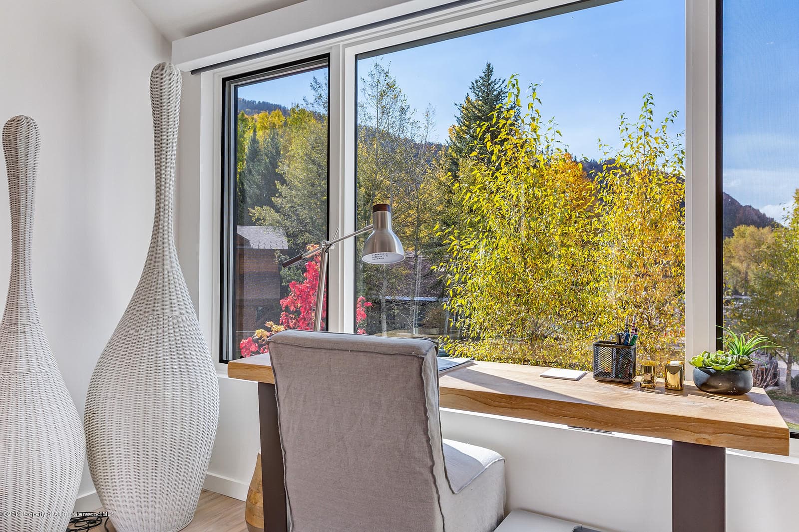 1098 E Waters Avenue, Aspen, CO 81611 - Photo 29