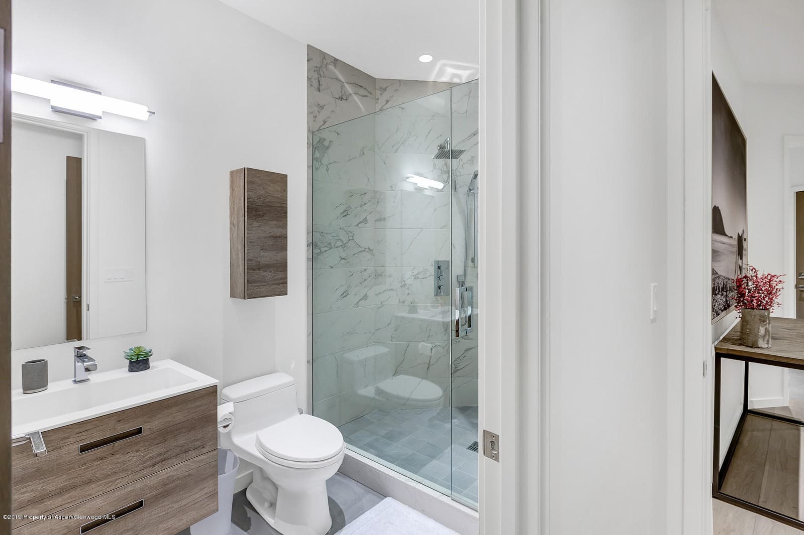 1098 E Waters Avenue, Aspen, CO 81611 - Photo 32