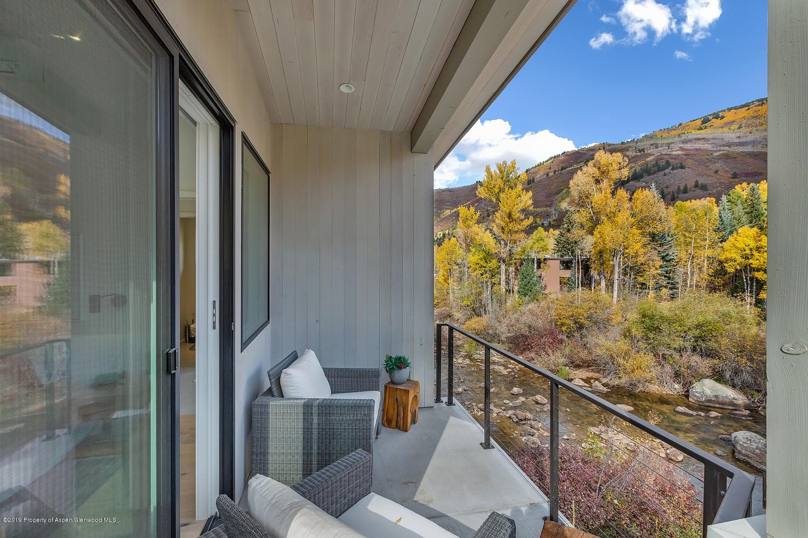 1098 E Waters Avenue, Aspen, CO 81611 - Photo 26