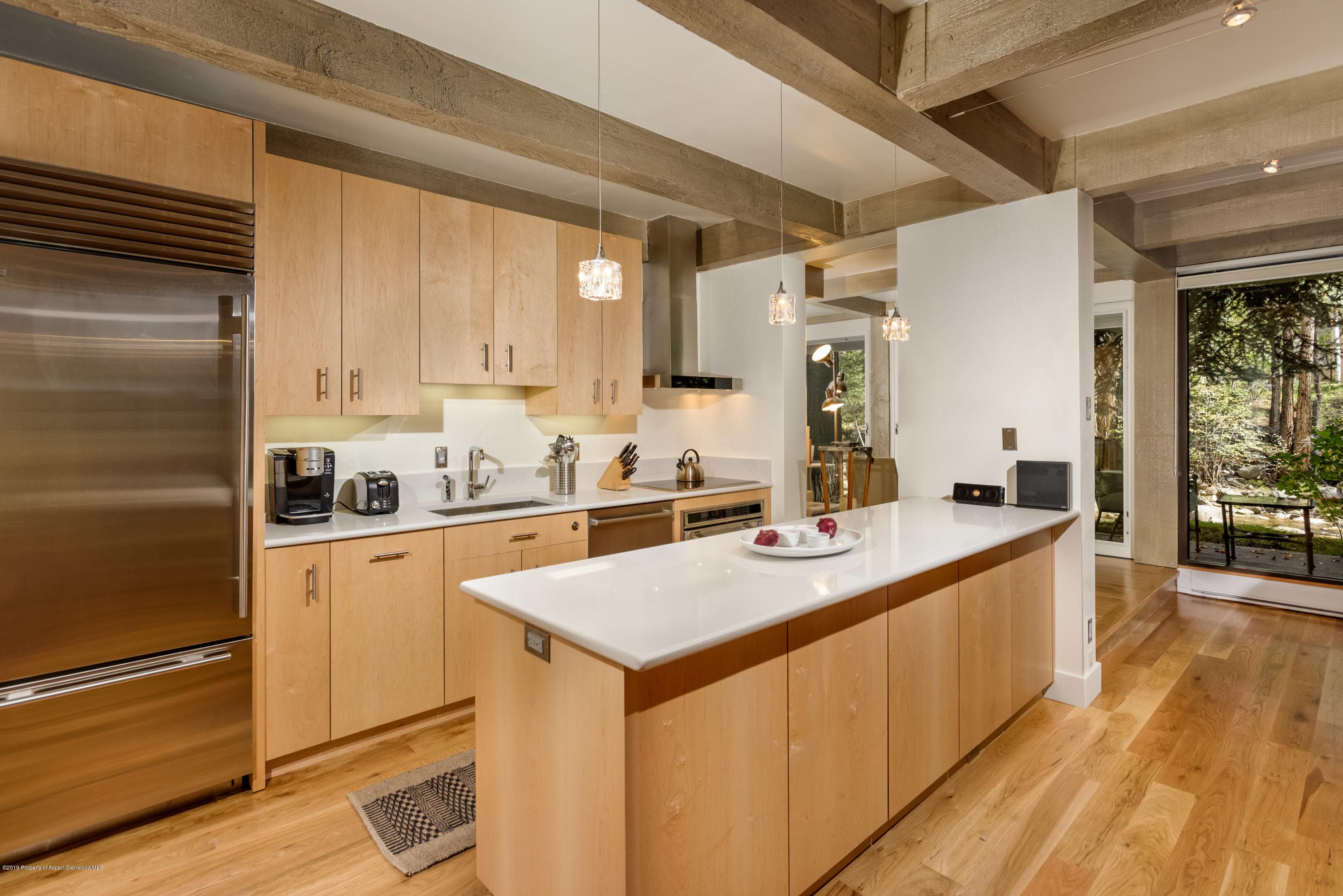 1034 E Cooper Avenue 24, Aspen, CO 81611 - Photo 6
