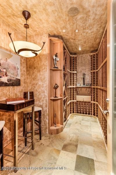 130 Luna Lane, Aspen, CO 81611 - Photo 22