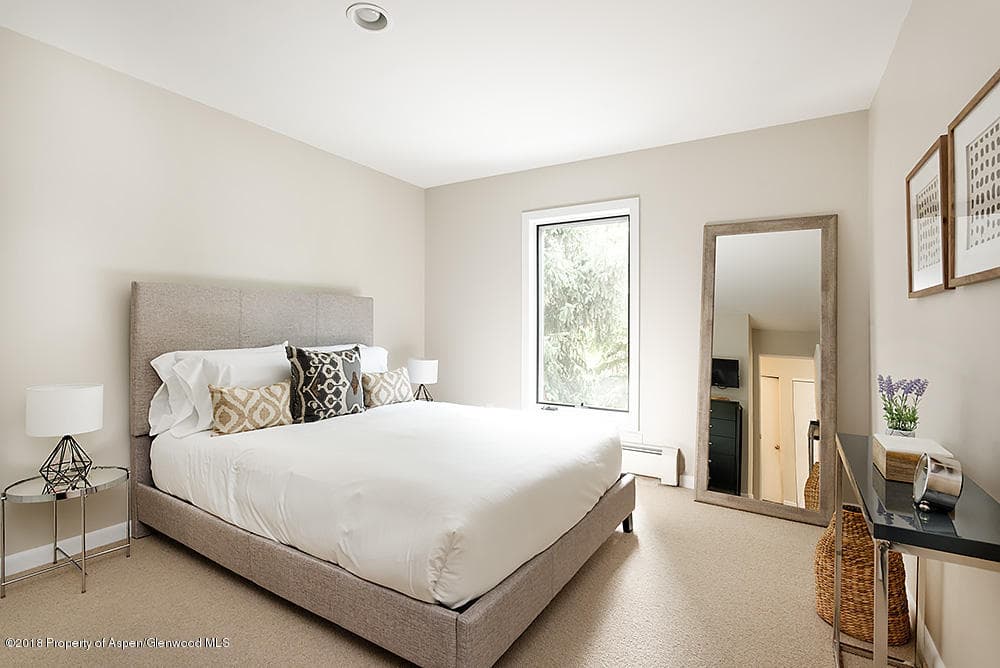 117 N Monarch Street Unit #2, Aspen, CO 81611 - Photo 3
