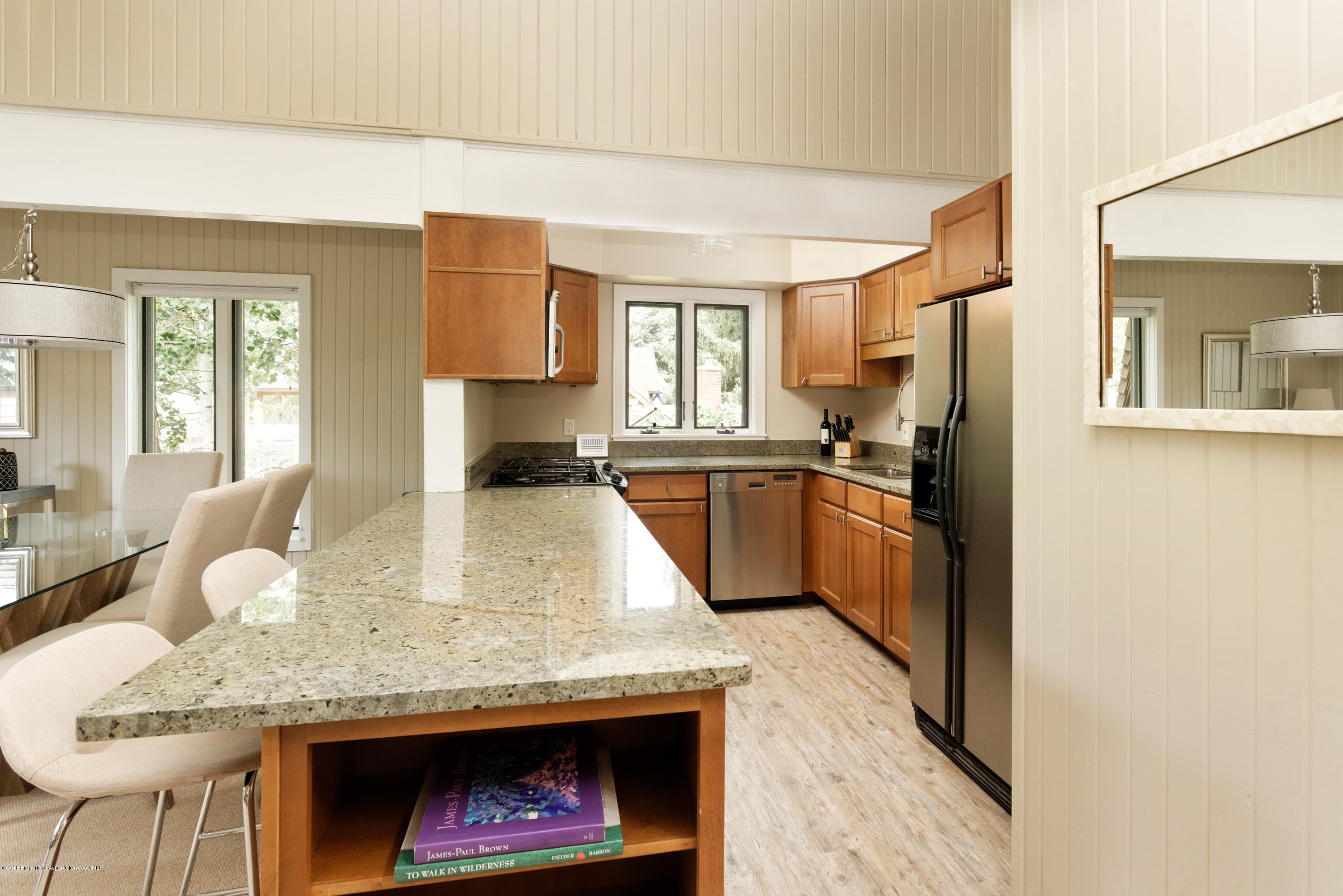 117 N Monarch Street Unit #2, Aspen, CO 81611 - Photo 5
