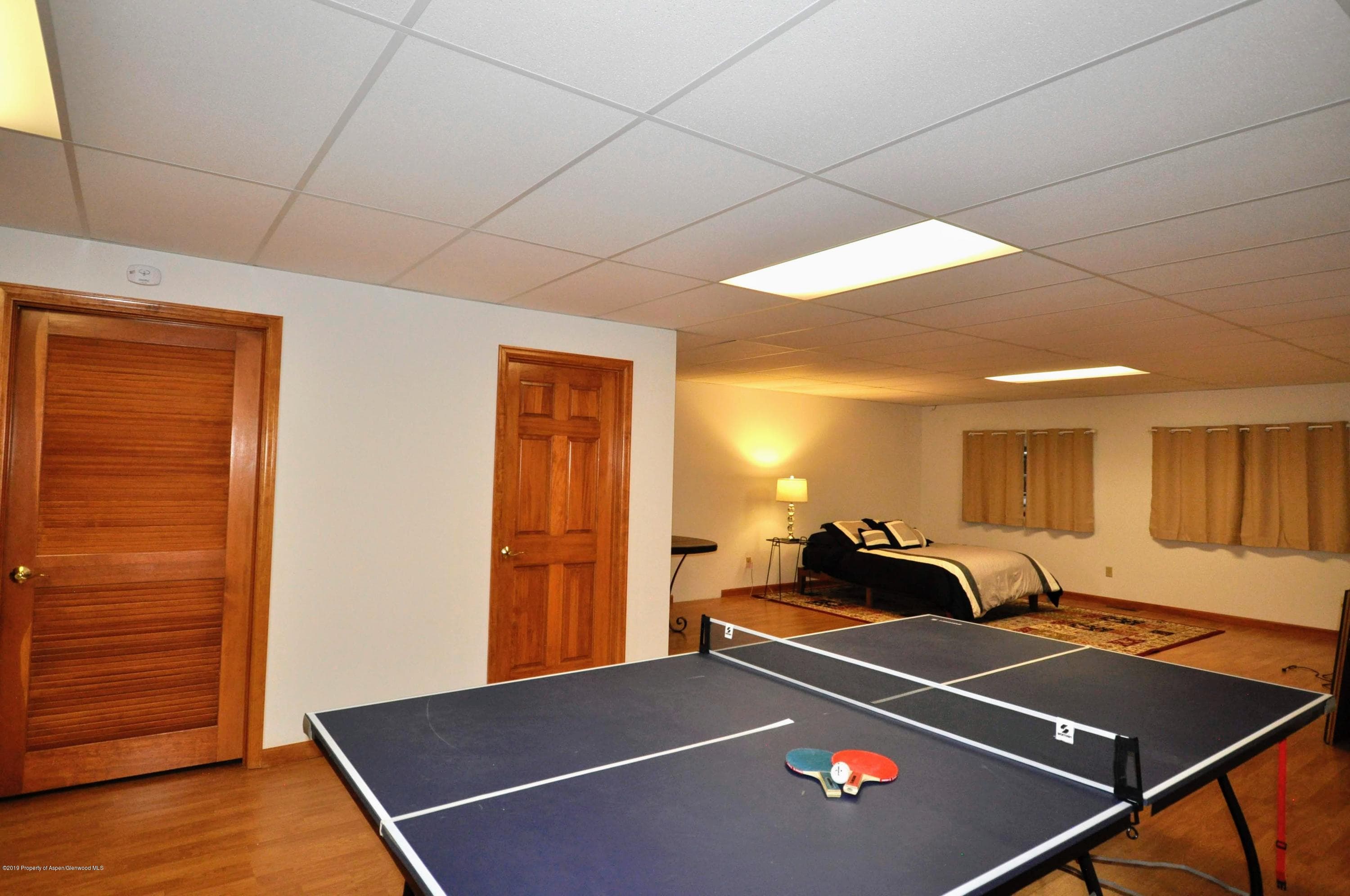 6 Redwing Lane, Carbondale, CO 81623 - Photo 23