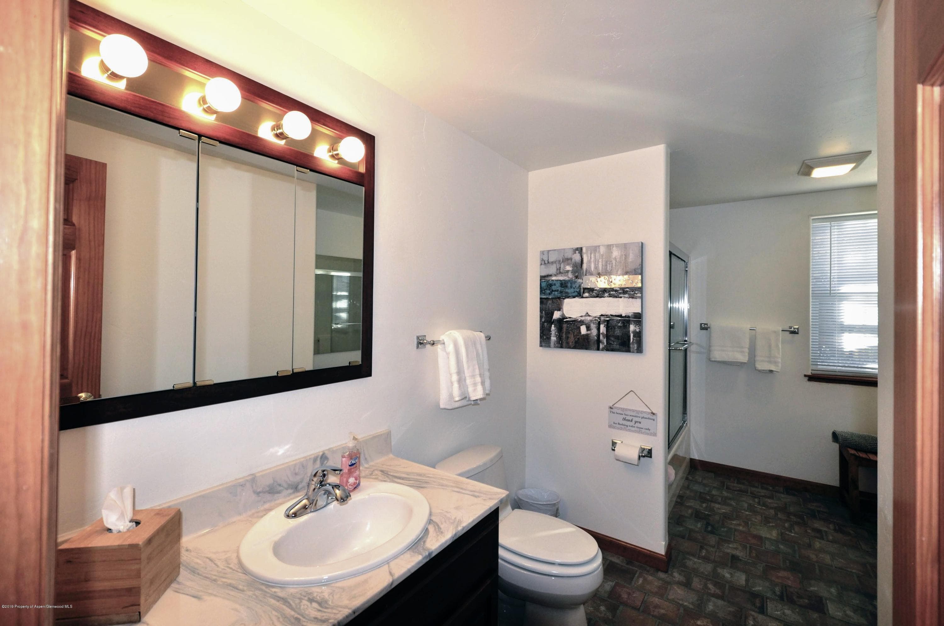 6 Redwing Lane, Carbondale, CO 81623 - Photo 22