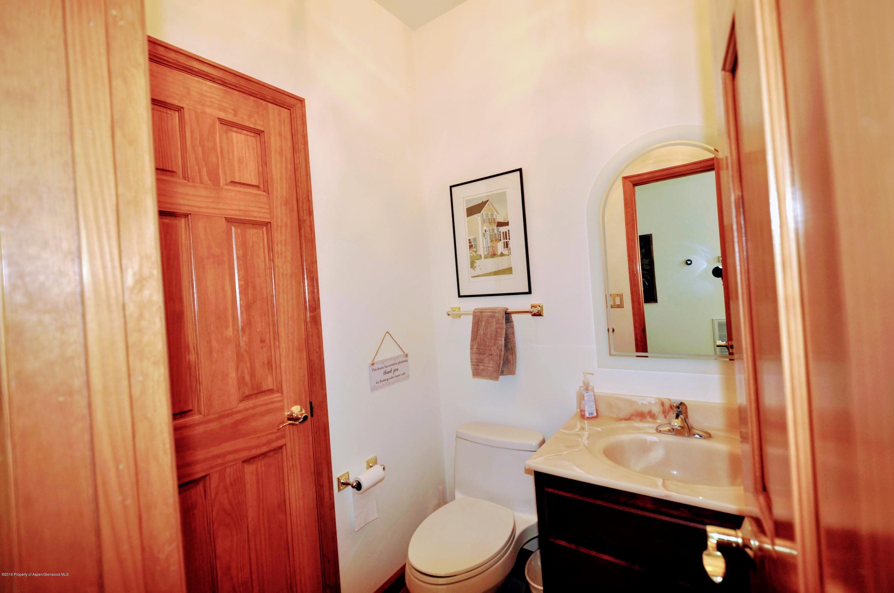 6 Redwing Lane, Carbondale, CO 81623 - Photo 17