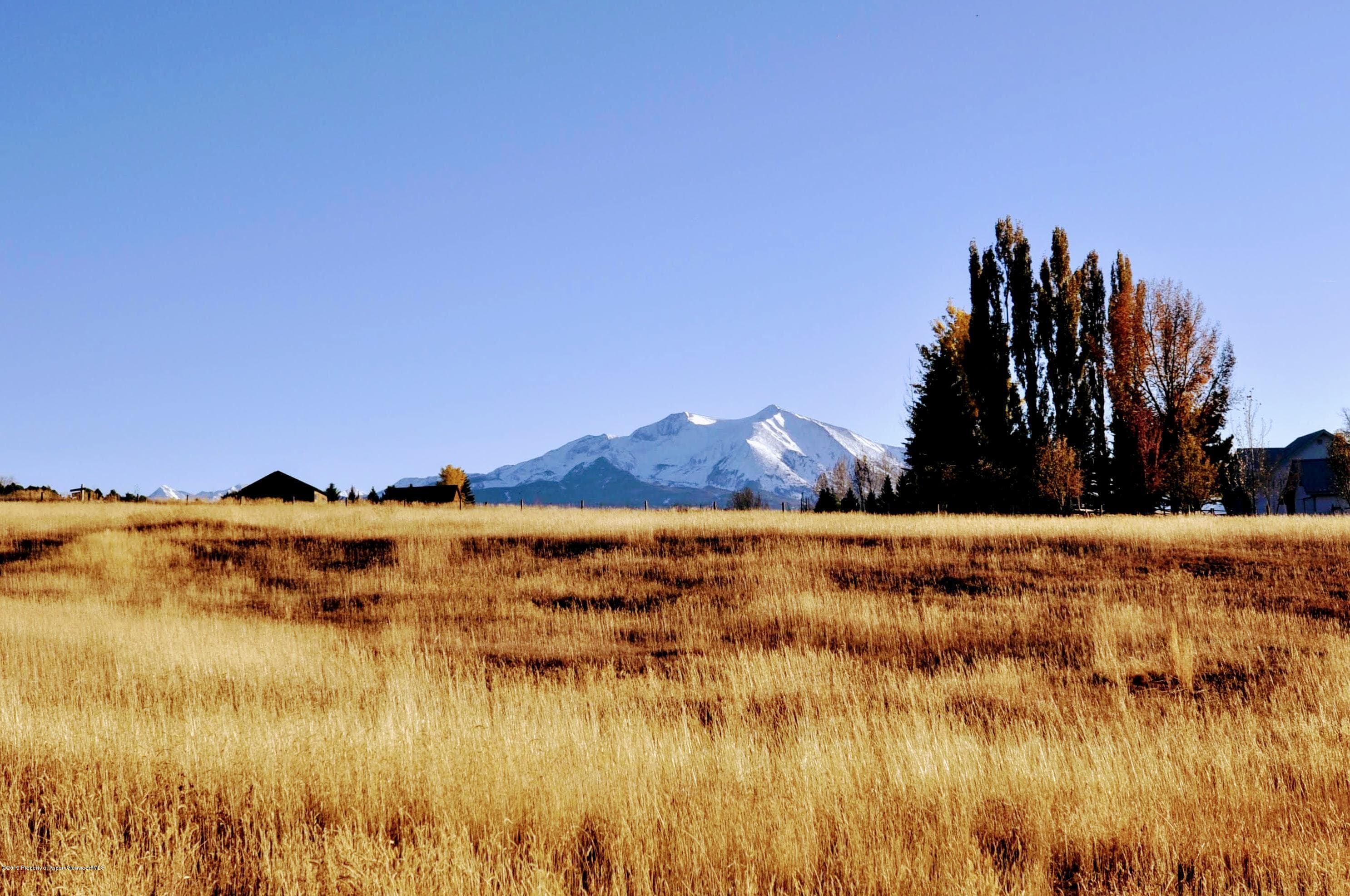 6 Redwing Lane, Carbondale, CO 81623 - Photo 9