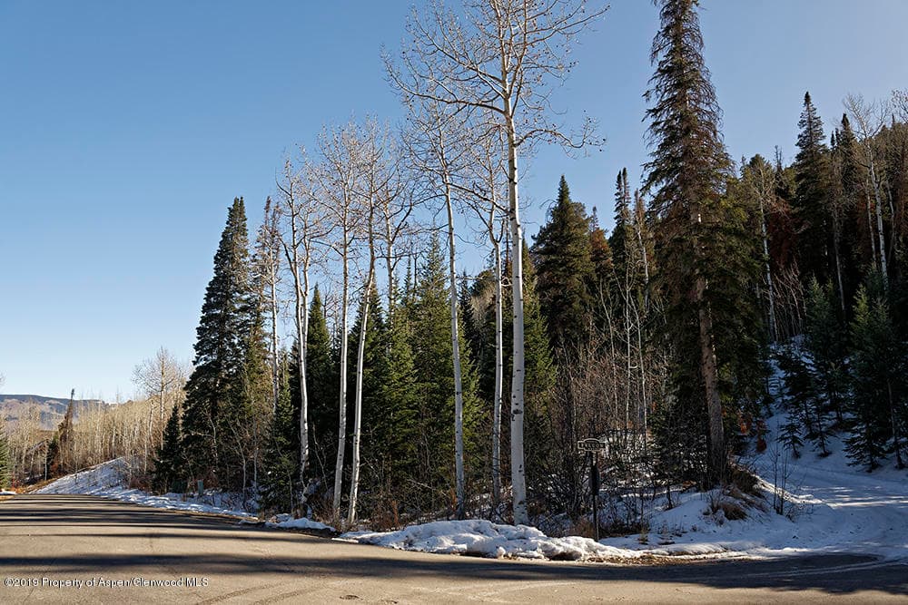 44 Falcon Road, Aspen, CO 81611 - Photo 4