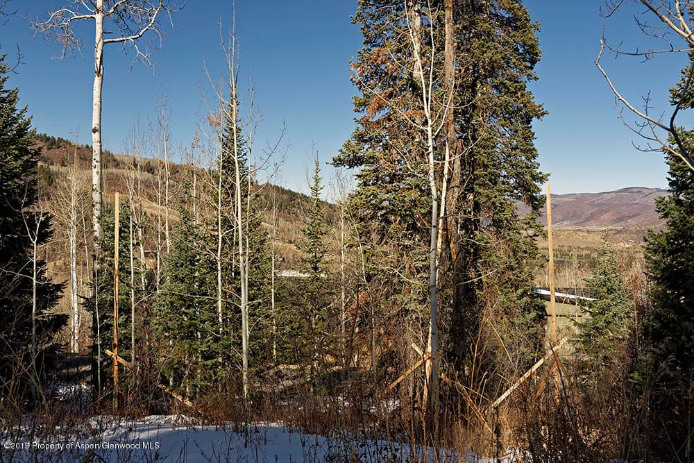 44 Falcon Road, Aspen, CO 81611 - Photo 6